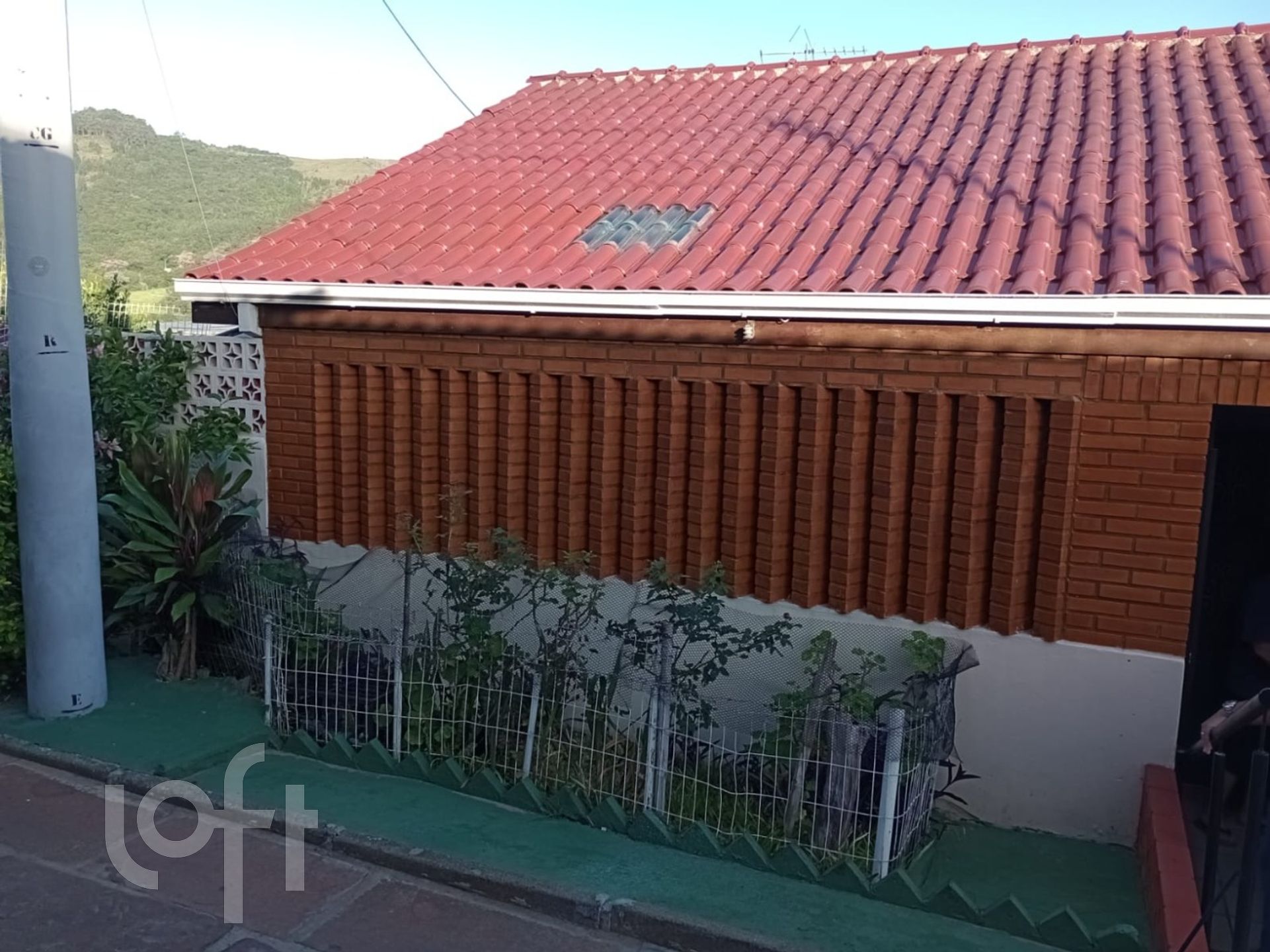 Imagem da propriedade 18