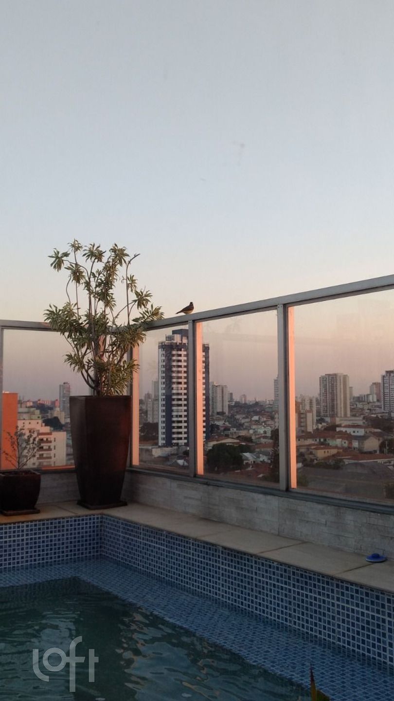 Imagem da propriedade 61