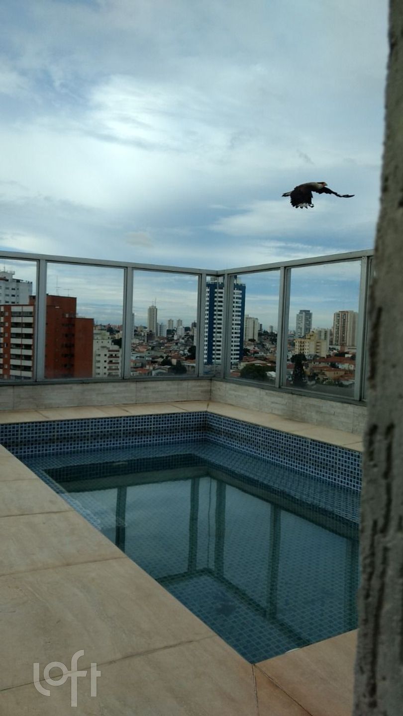 Imagem da propriedade 60