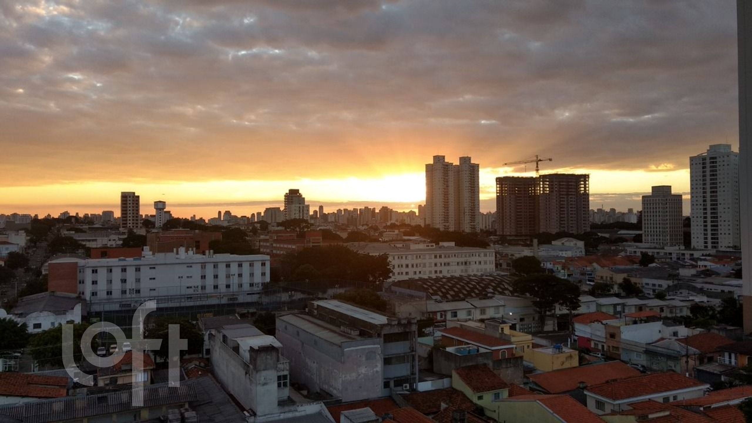 Imagem da propriedade 53