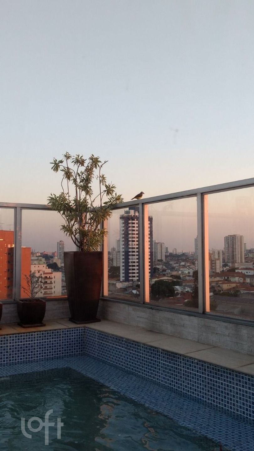 Imagem da propriedade 62
