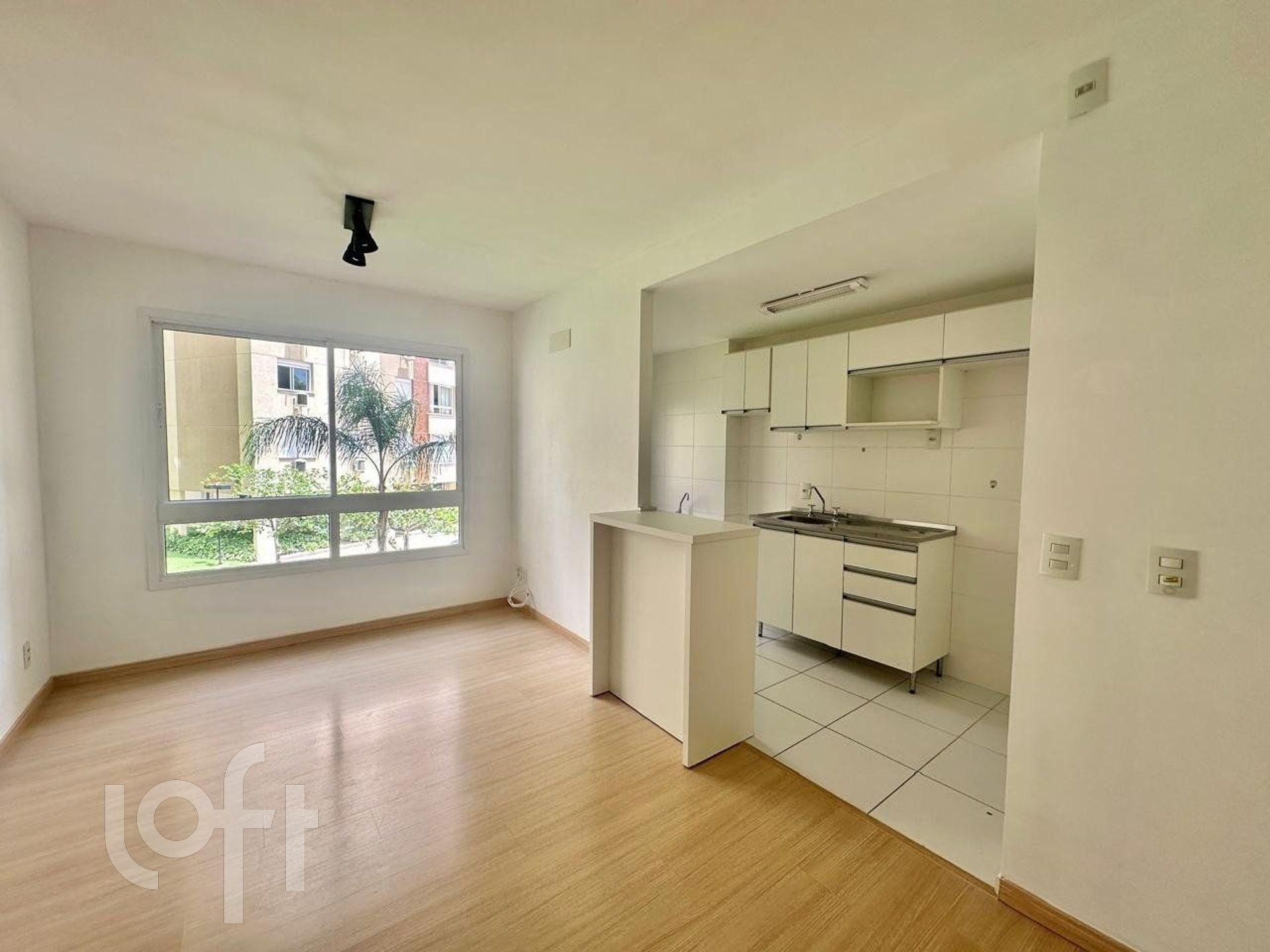 Imagem da propriedade 6