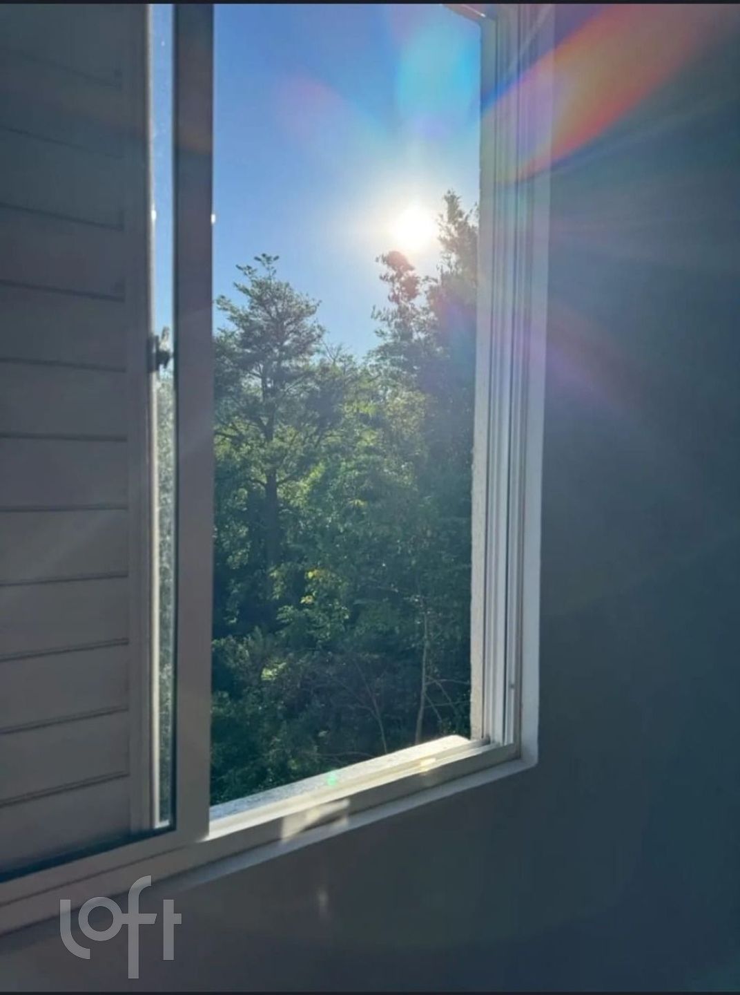 Imagem da propriedade 7