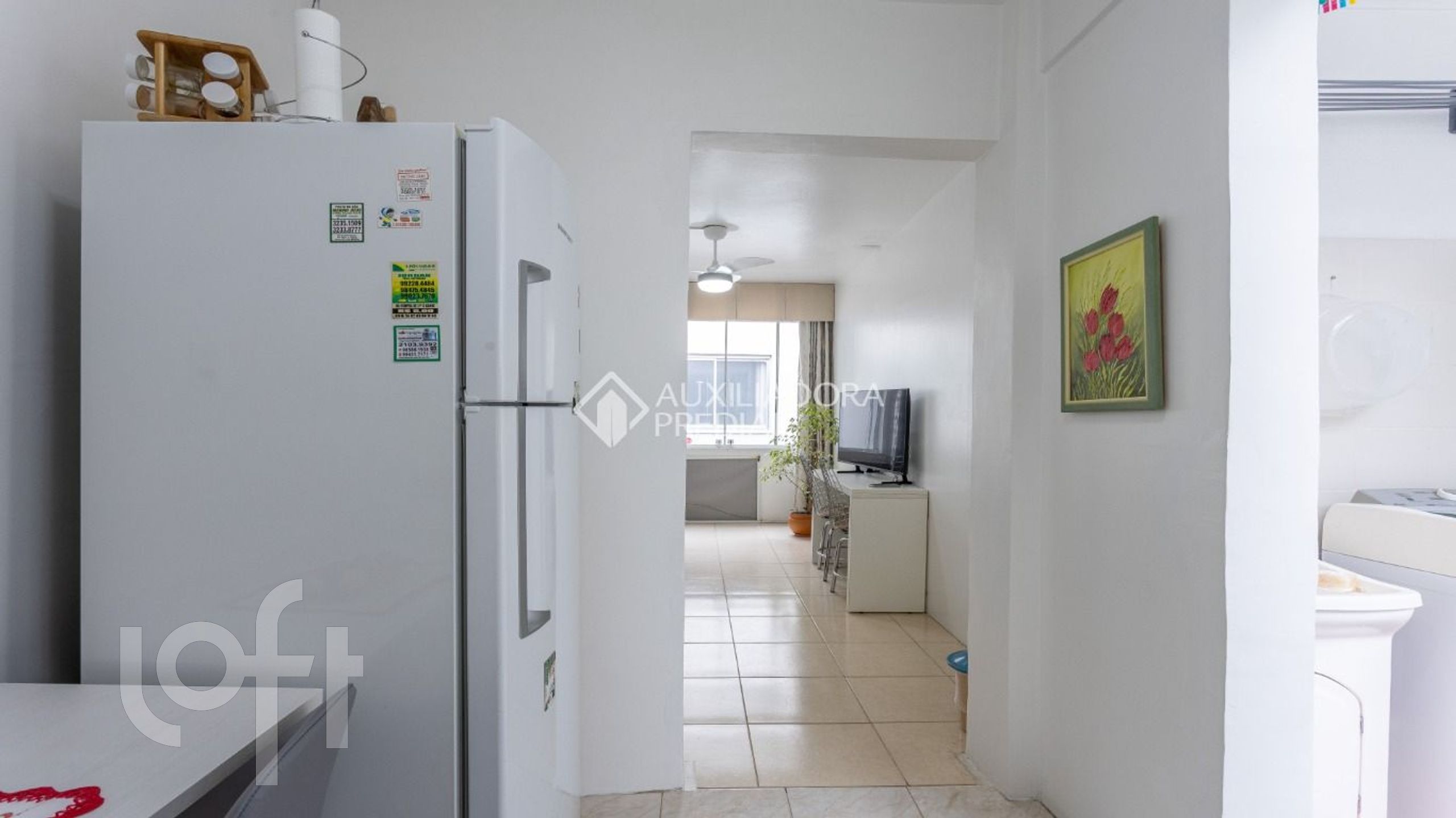 Imagem da propriedade 7