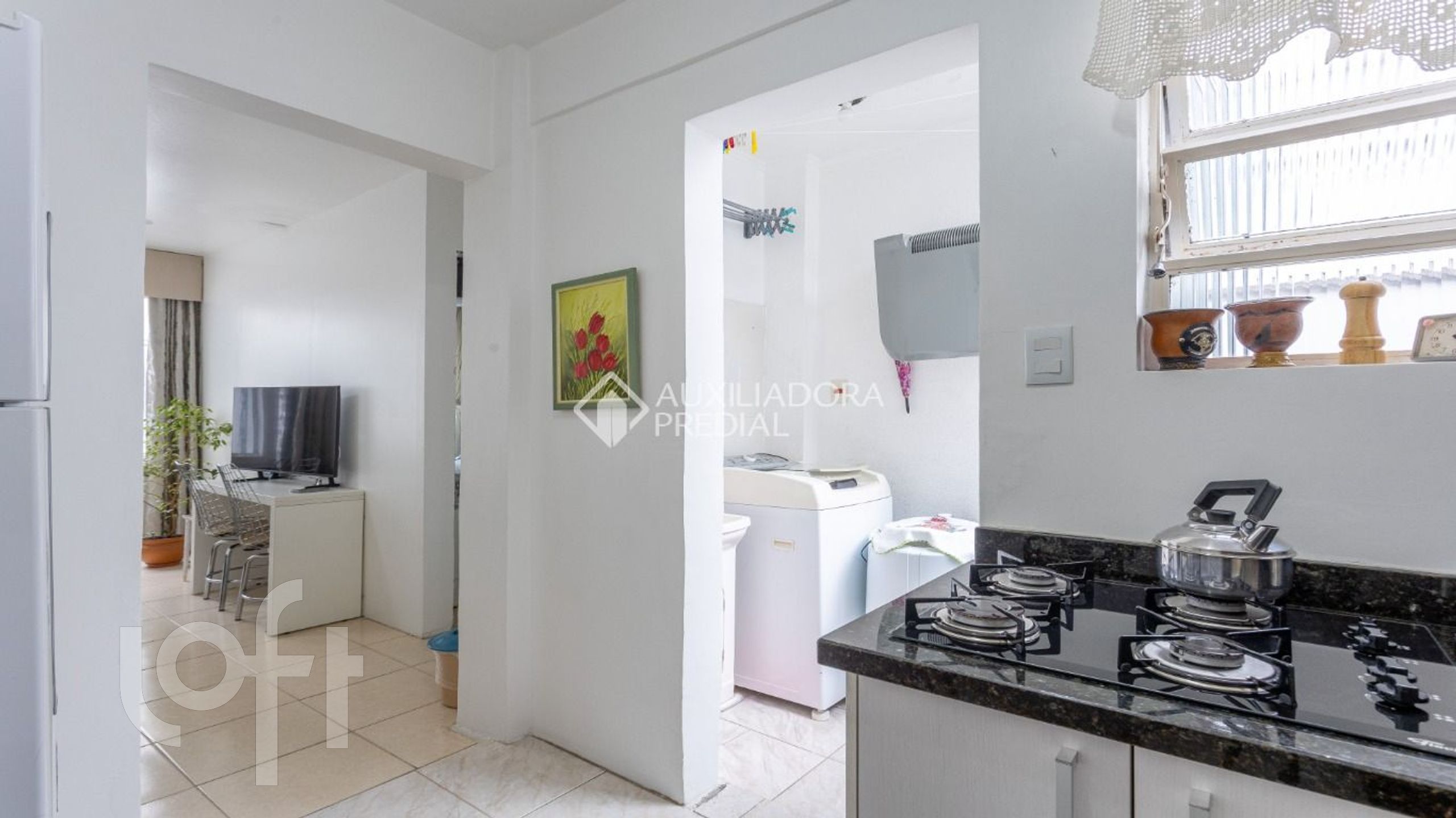 Imagem da propriedade 6