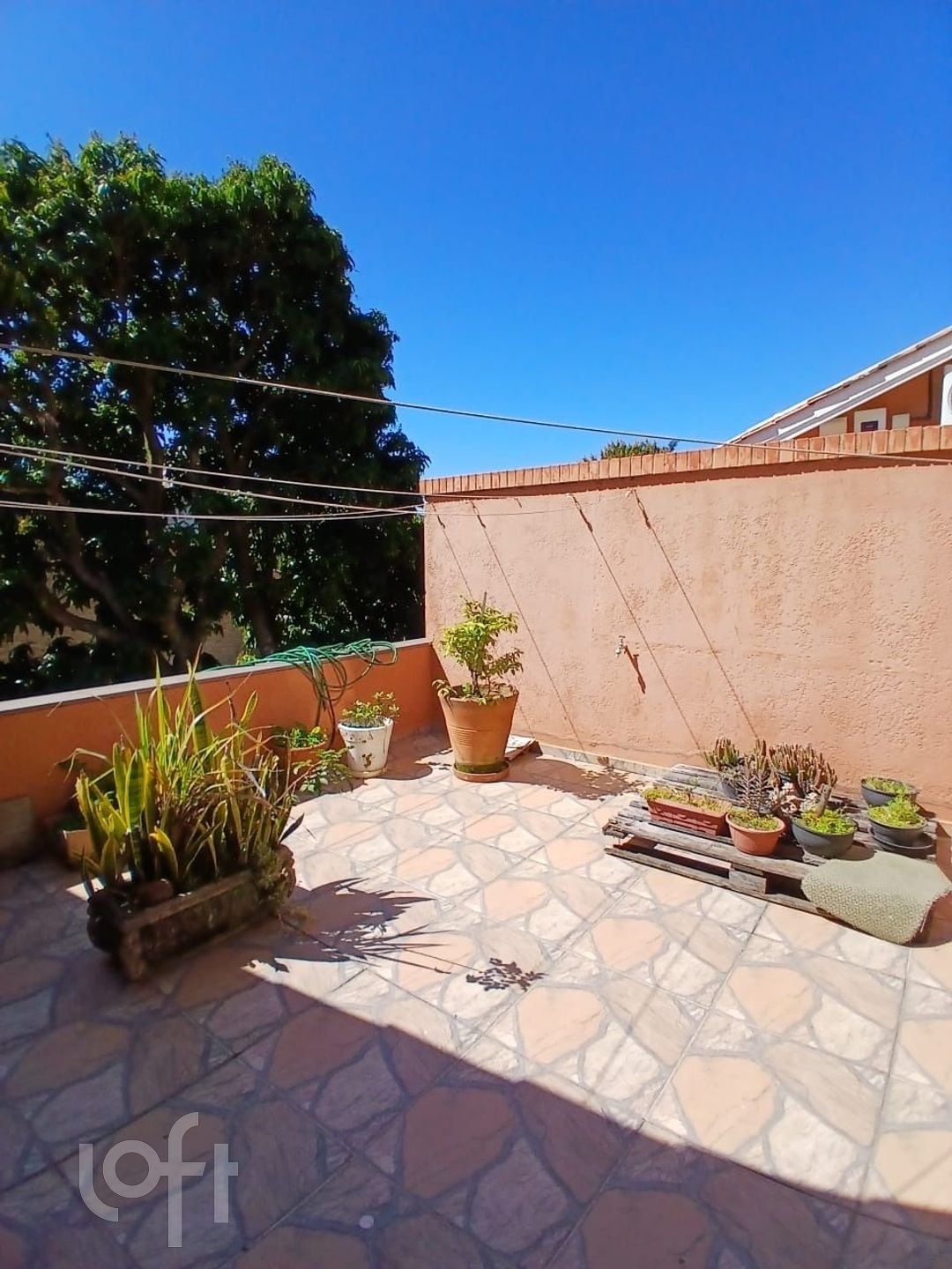 Imagem da propriedade 3