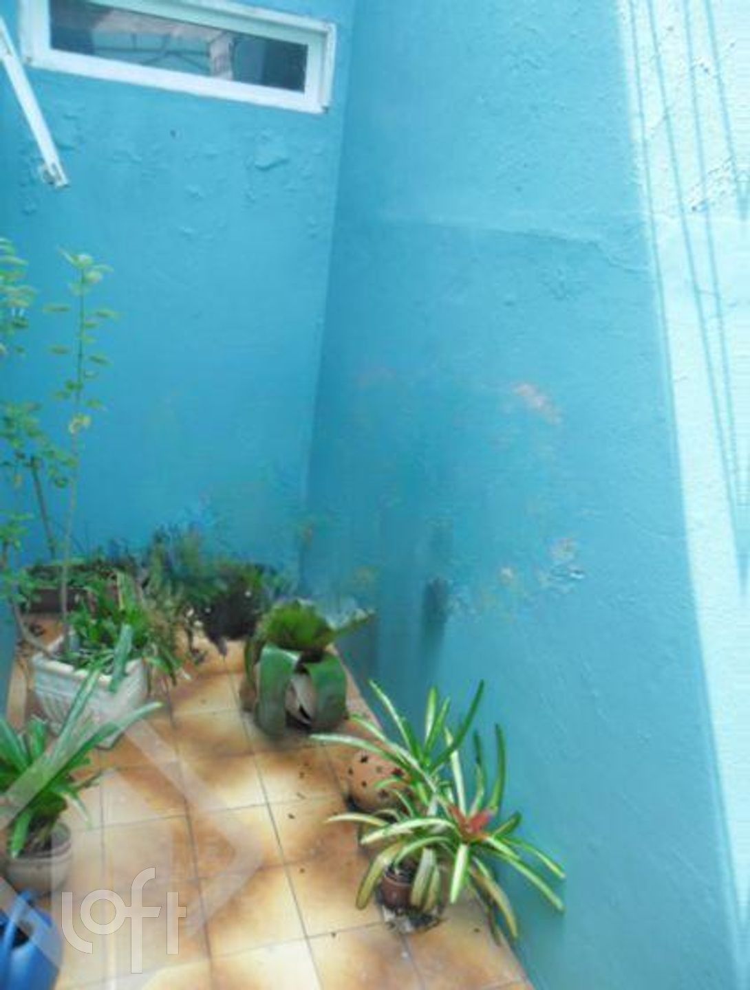 Imagem da propriedade 3