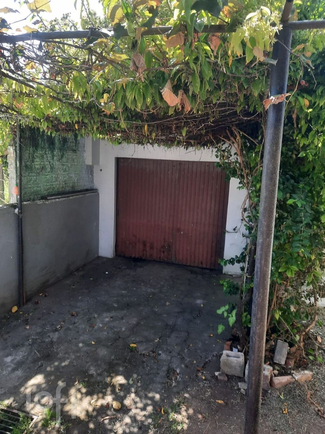 Imagem da propriedade 4