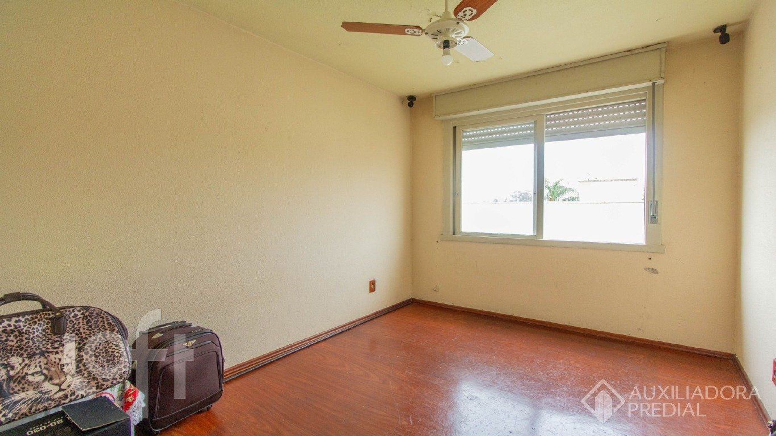 Imagem da propriedade 15