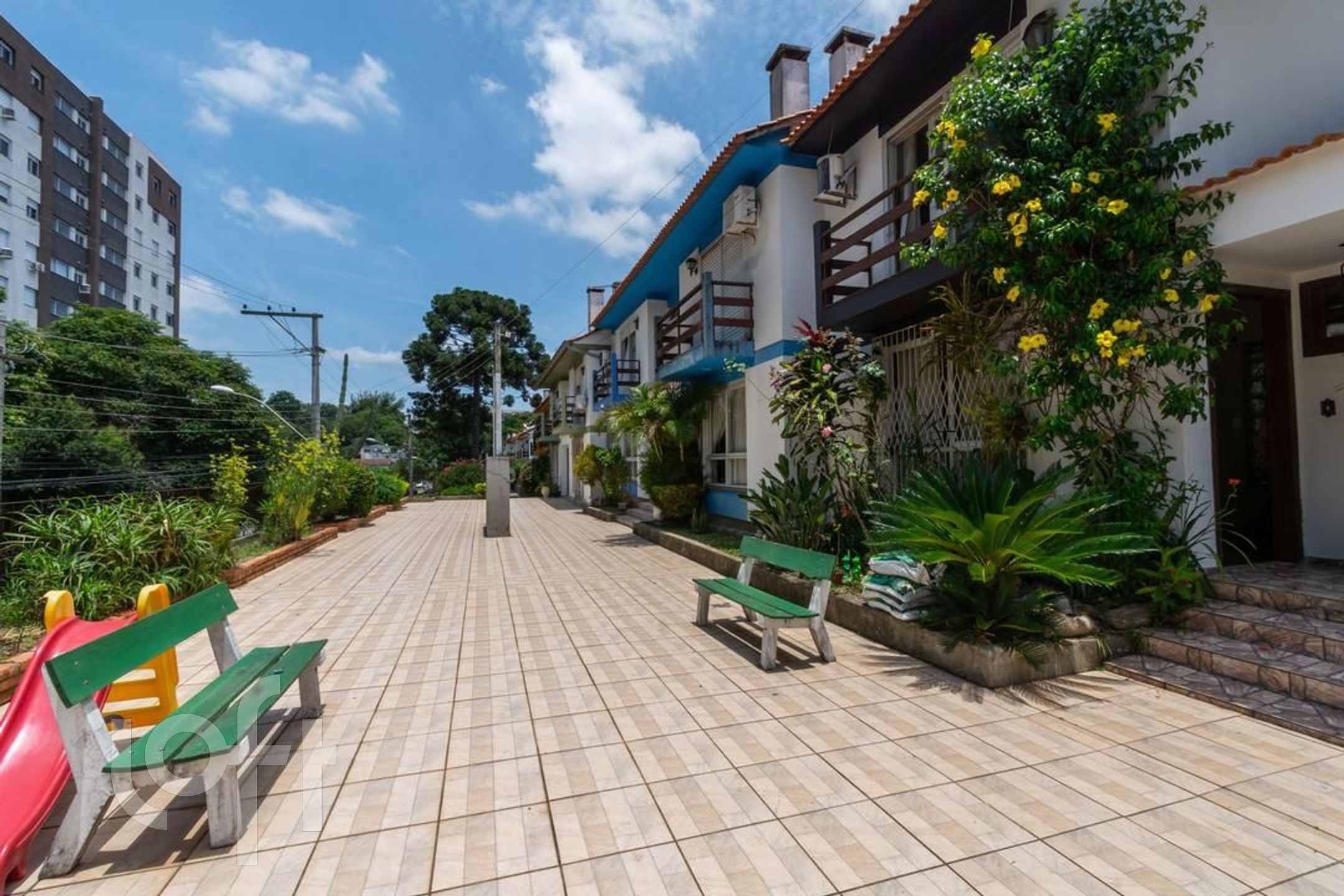 Imagem da propriedade 47