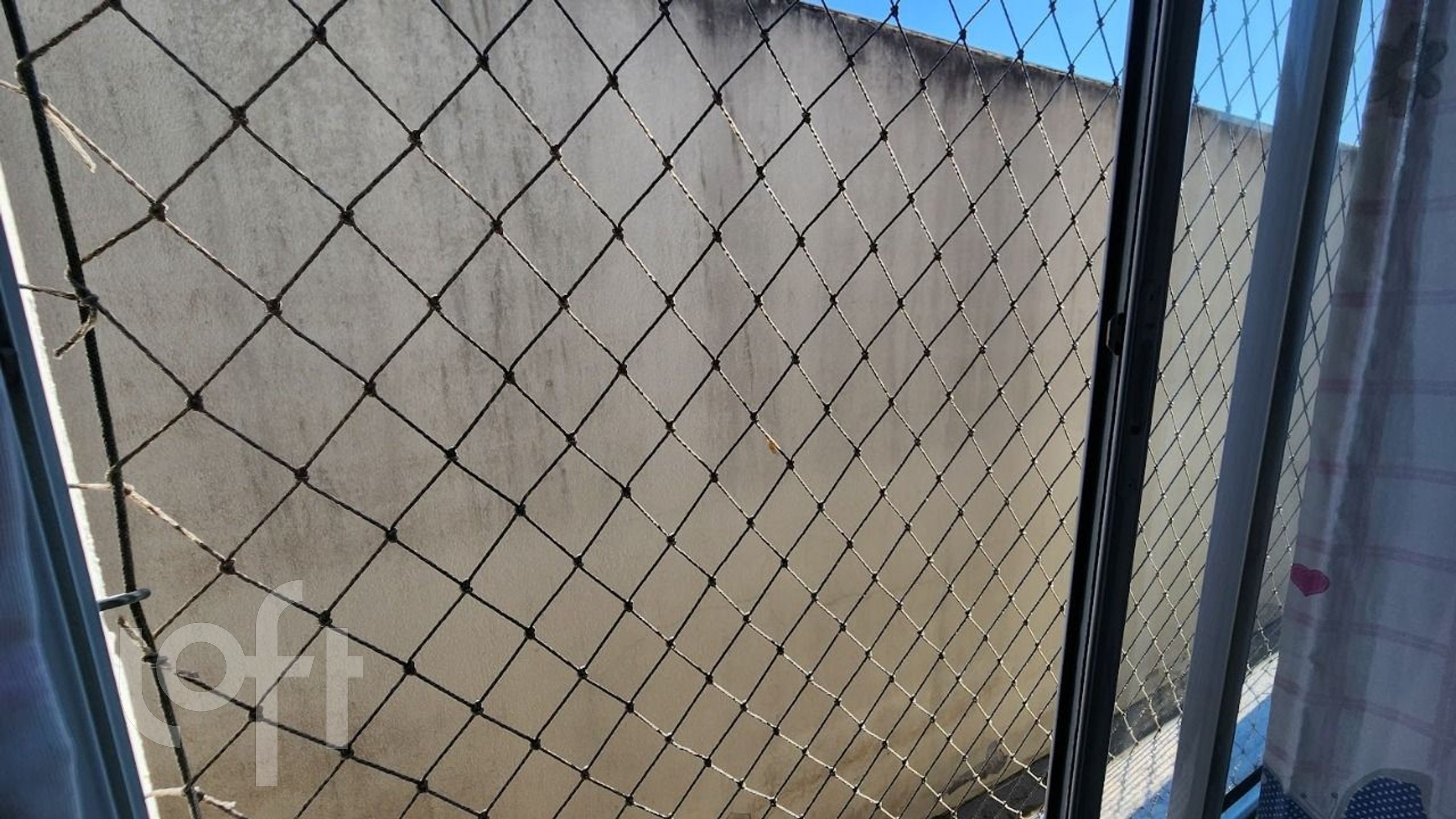 Imagem da propriedade 16