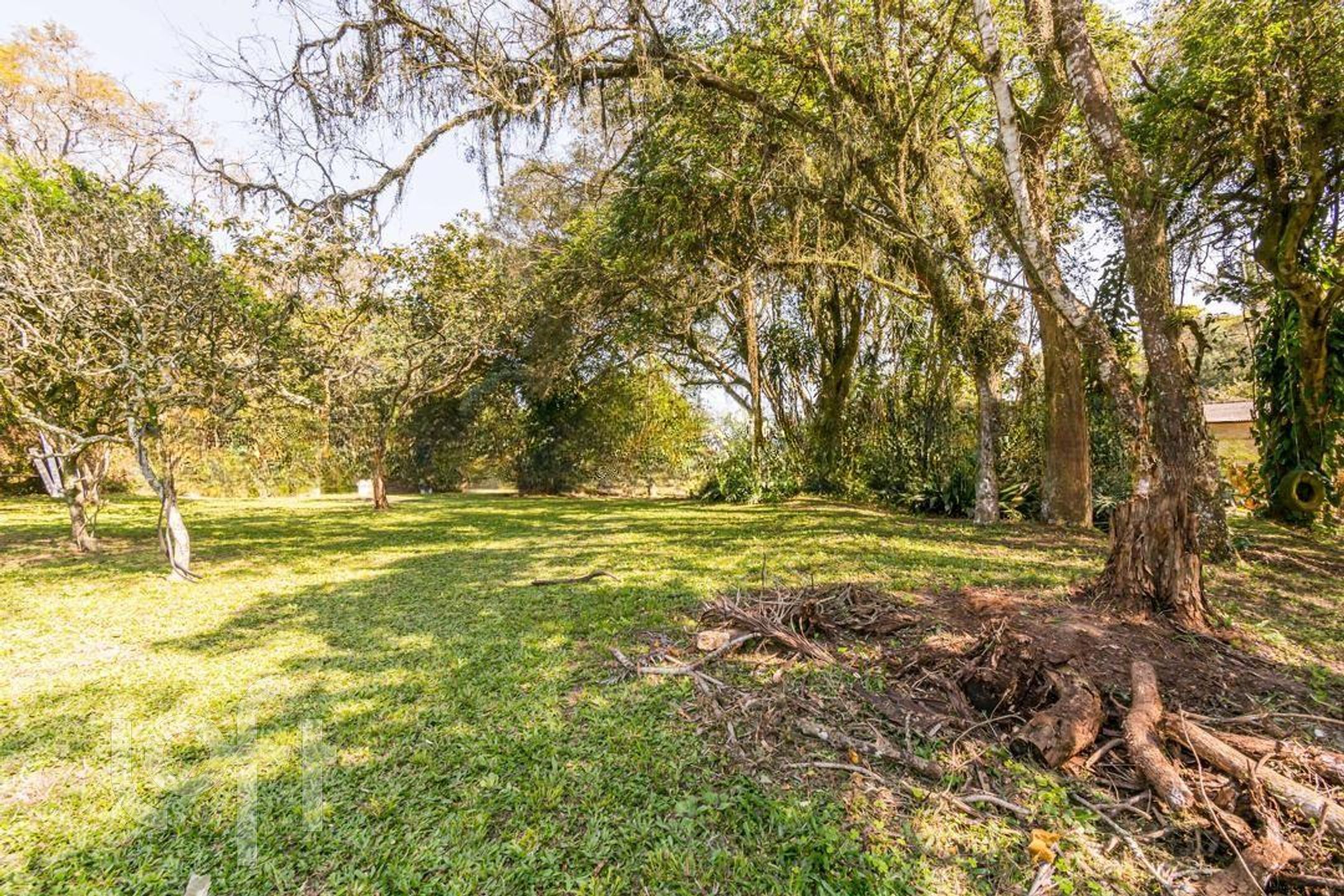 Imagem da propriedade 47