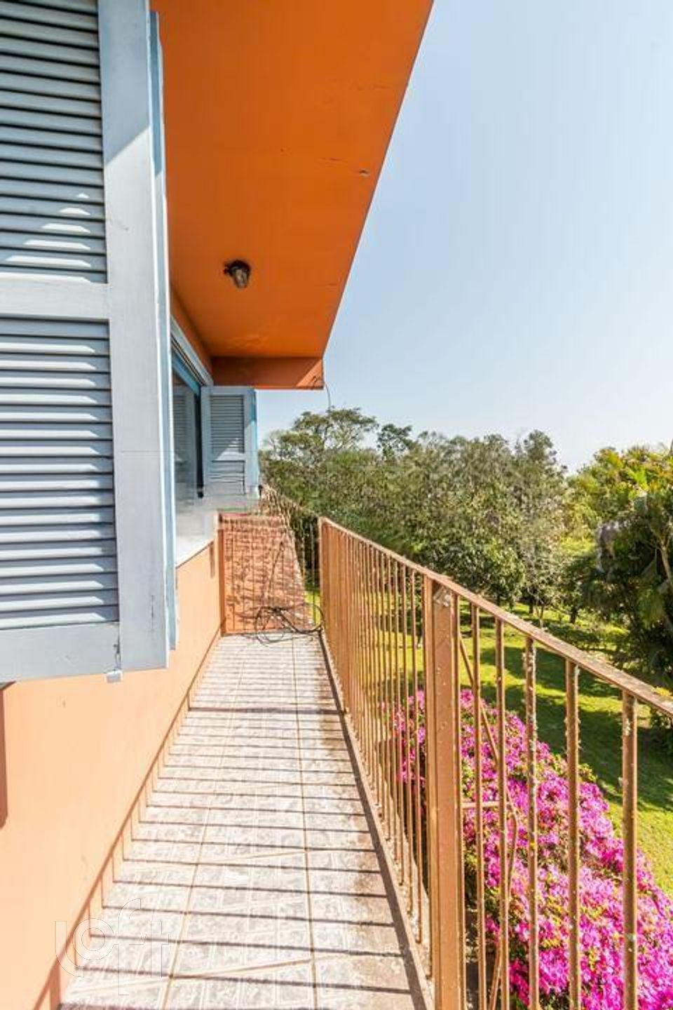 Imagem da propriedade 31