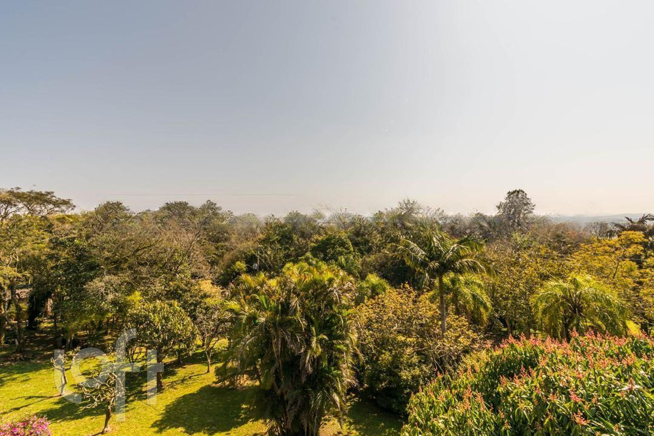 Imagem da propriedade 37