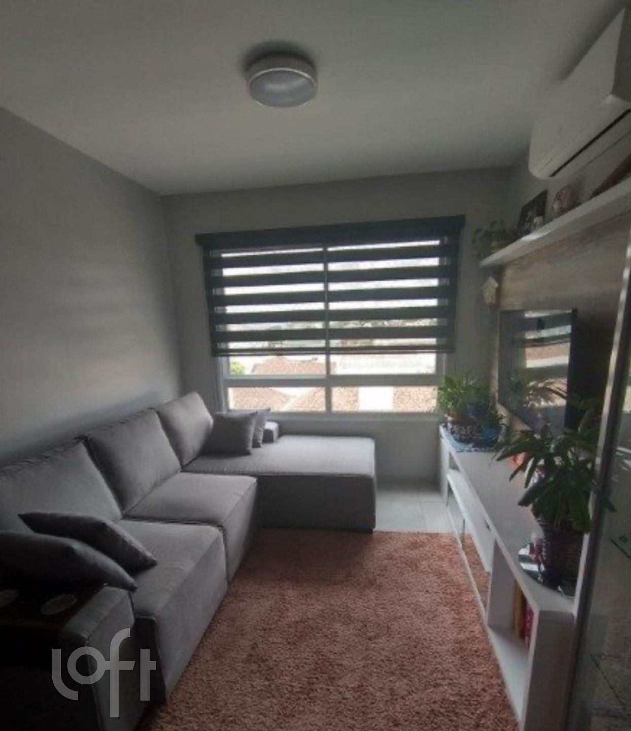 Imagem da propriedade 3