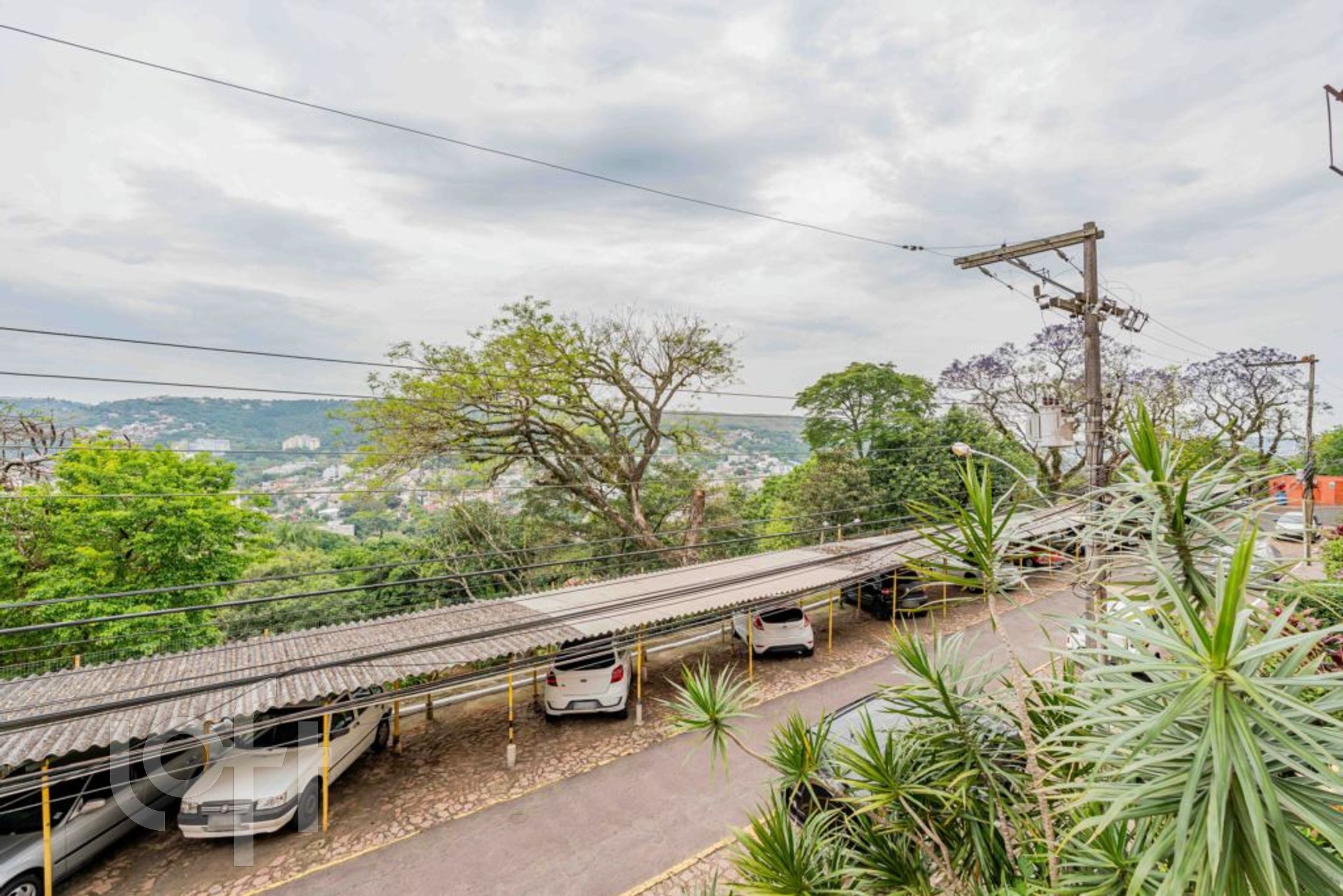 Imagem da propriedade 14