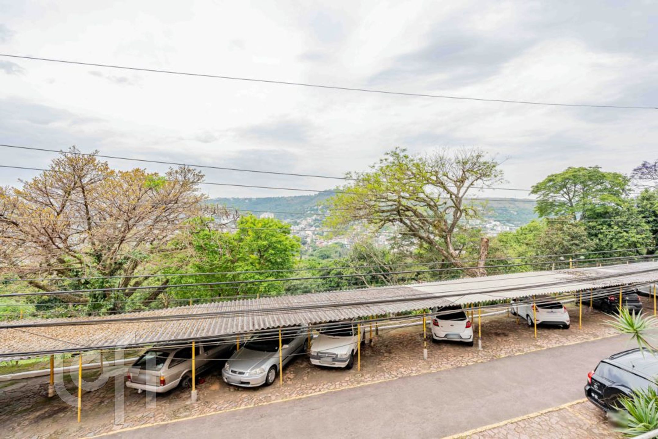 Imagem da propriedade 3