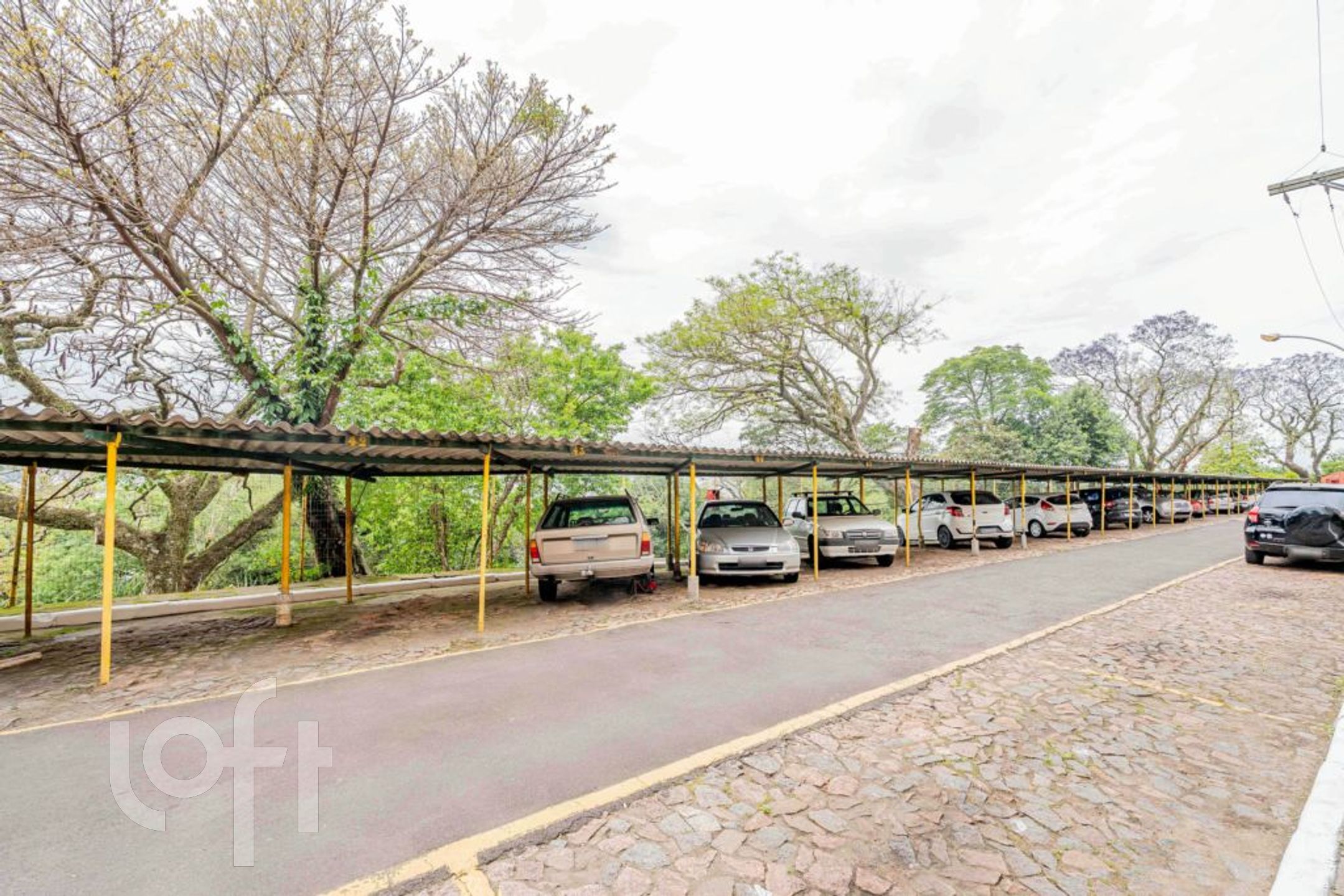 Imagem da propriedade 9