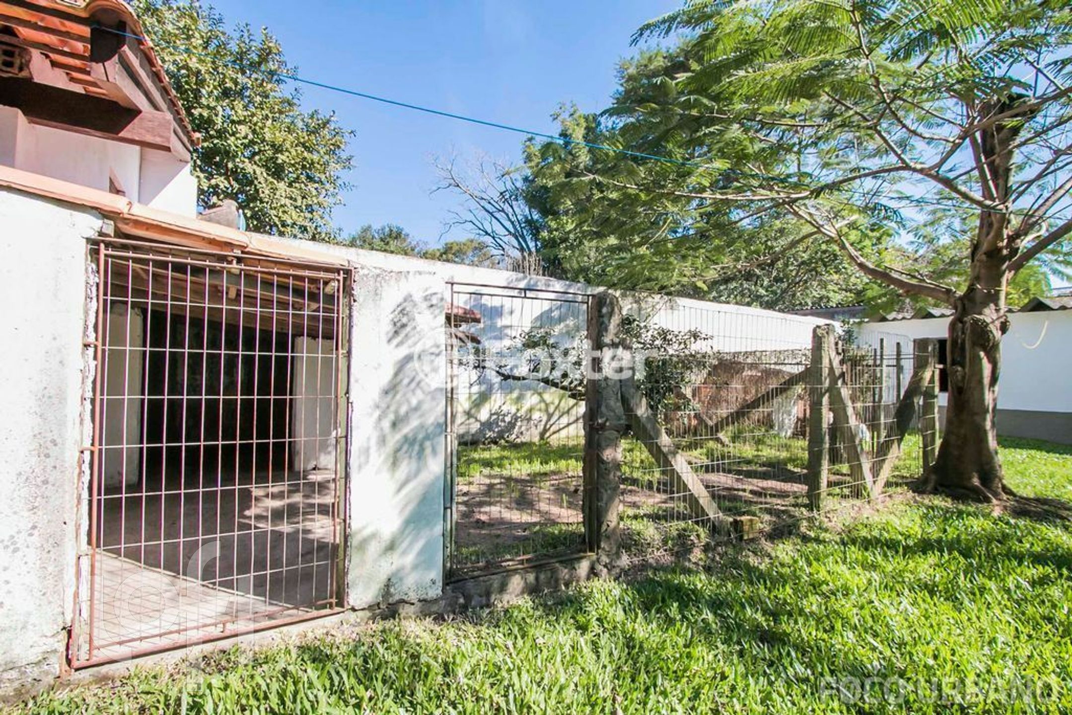 Imagem da propriedade 28