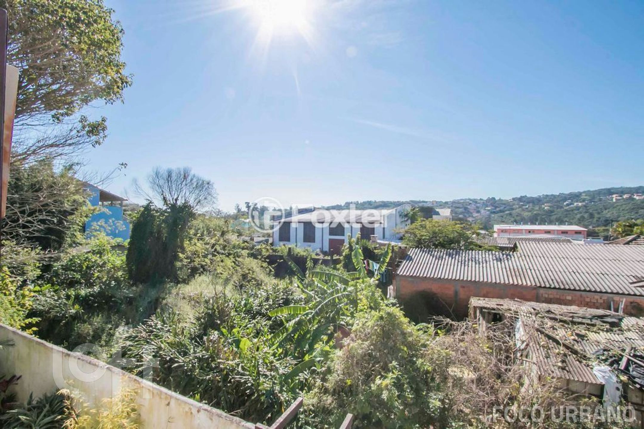 Imagem da propriedade 14