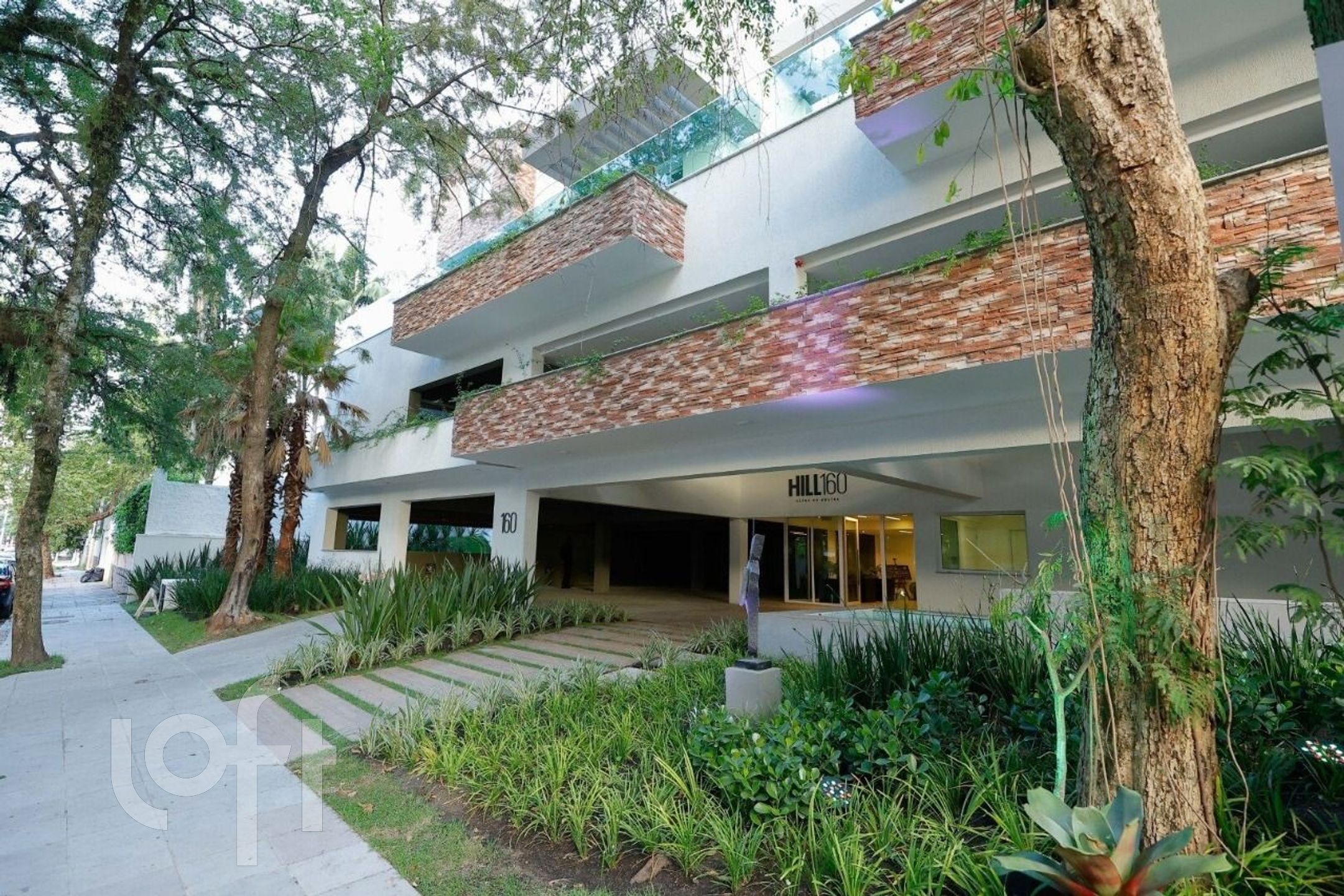 Imagem da propriedade 3