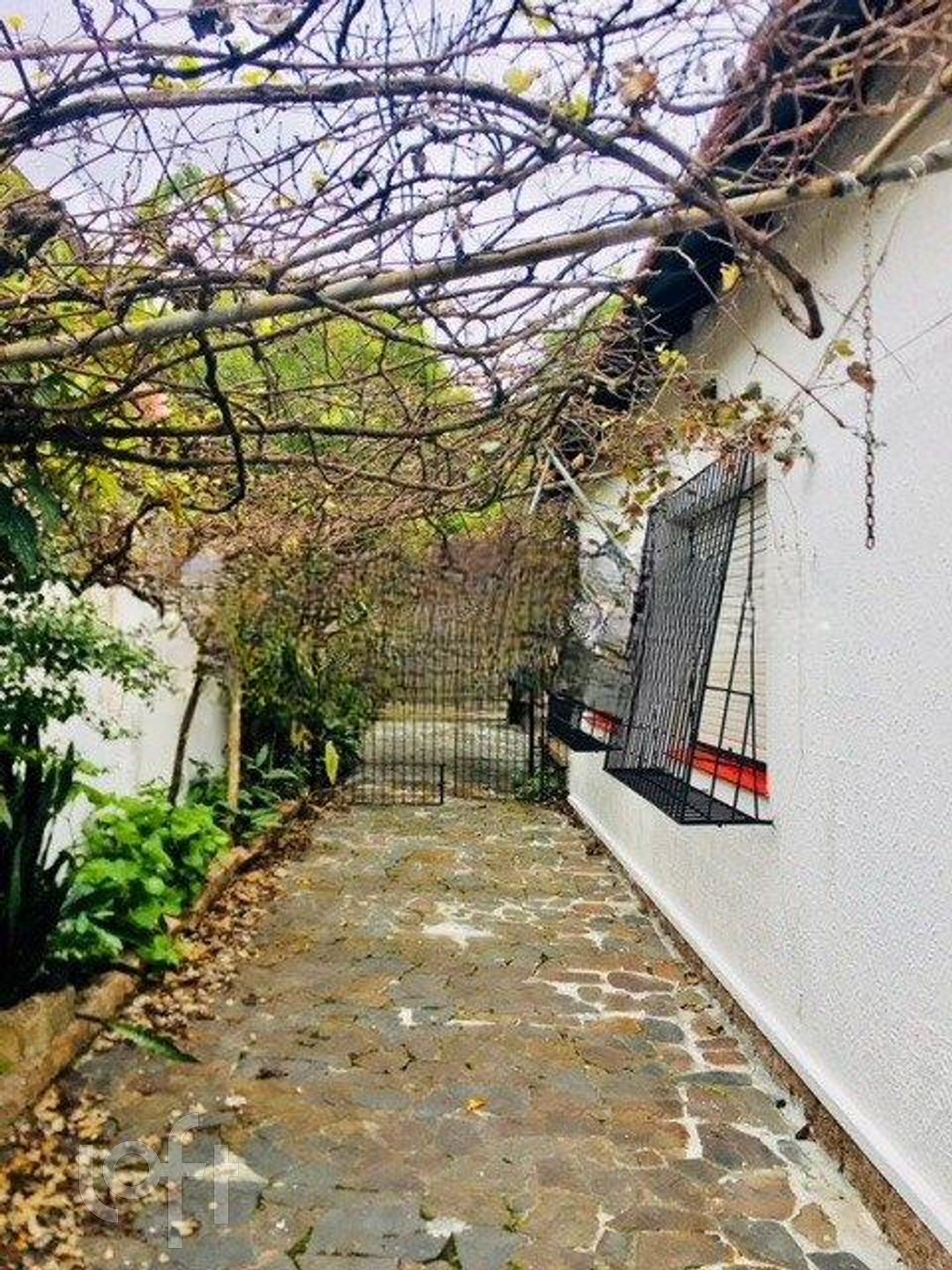 Imagem da propriedade 17