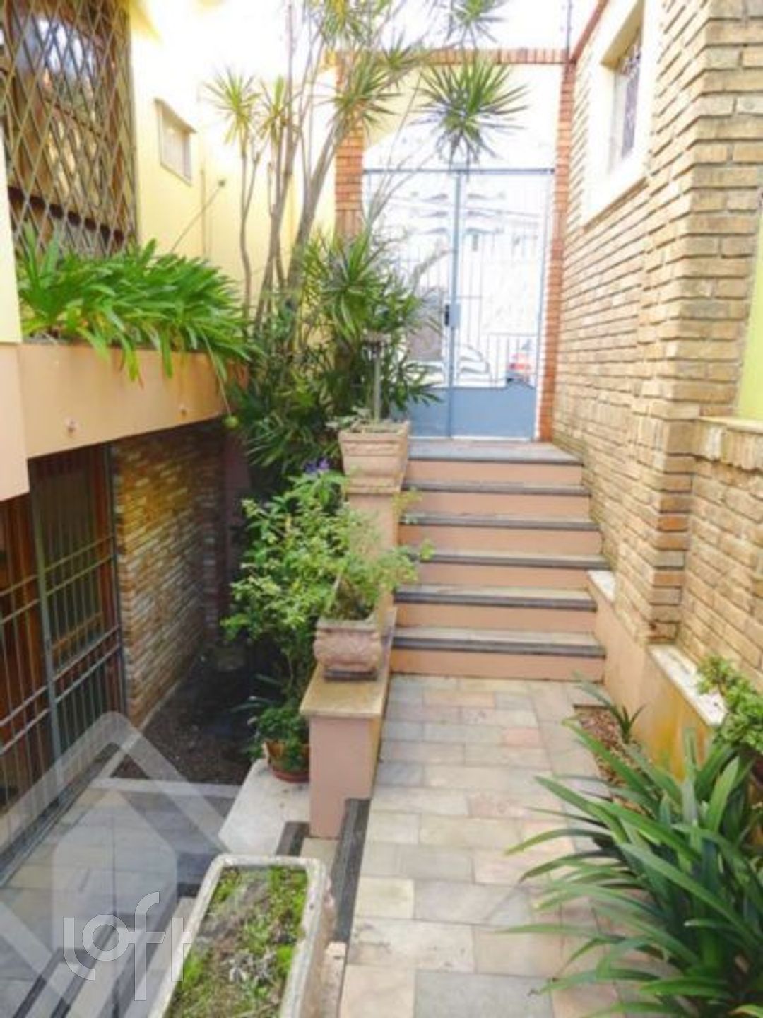 Imagem da propriedade 33