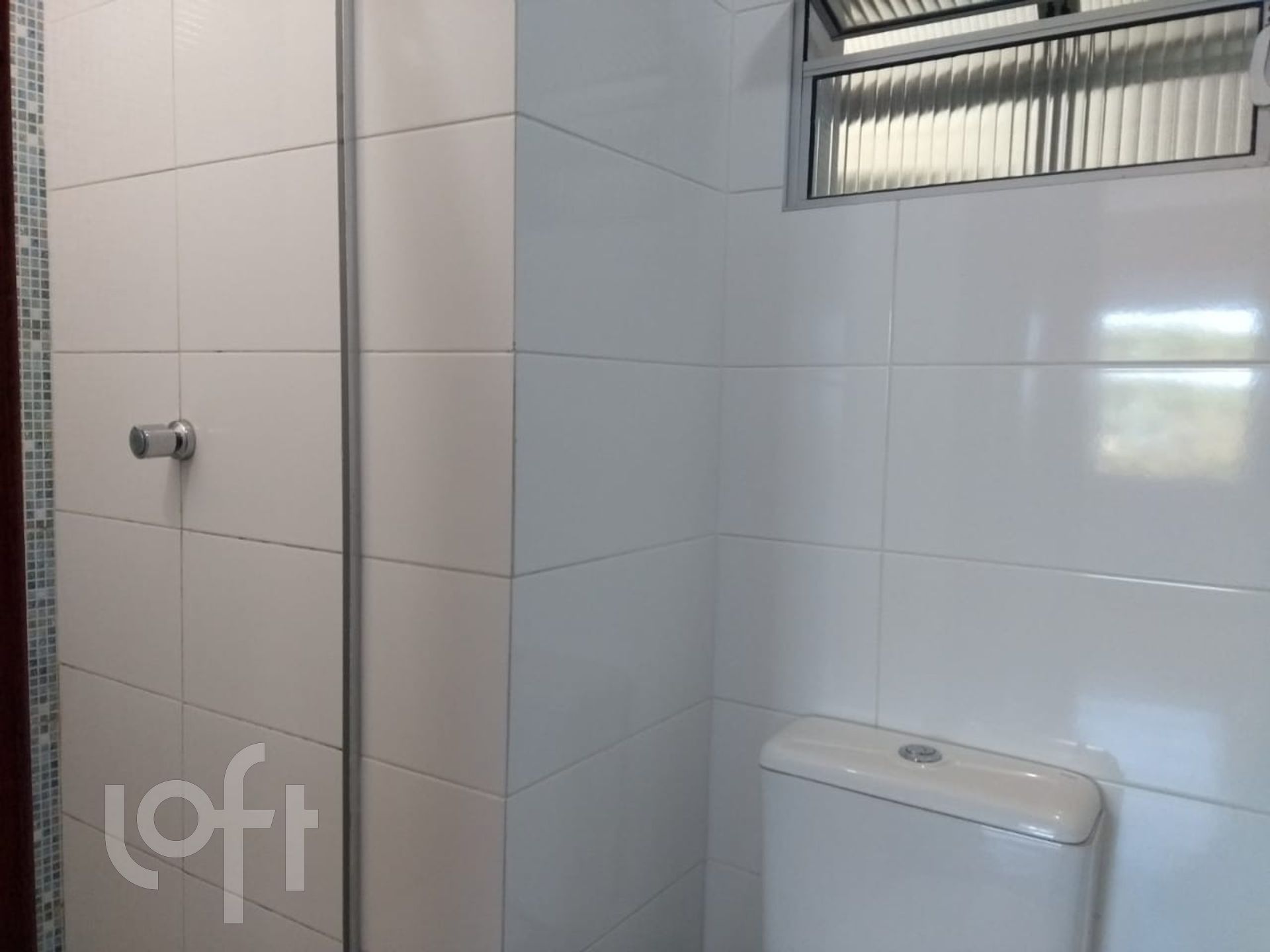 Imagem da propriedade 5