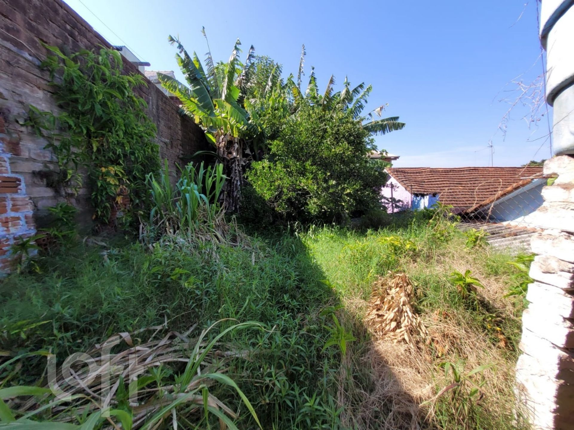 Imagem da propriedade 20