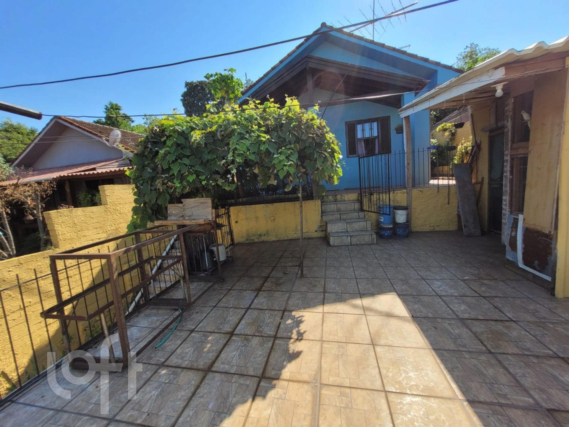 Imagem da propriedade 21