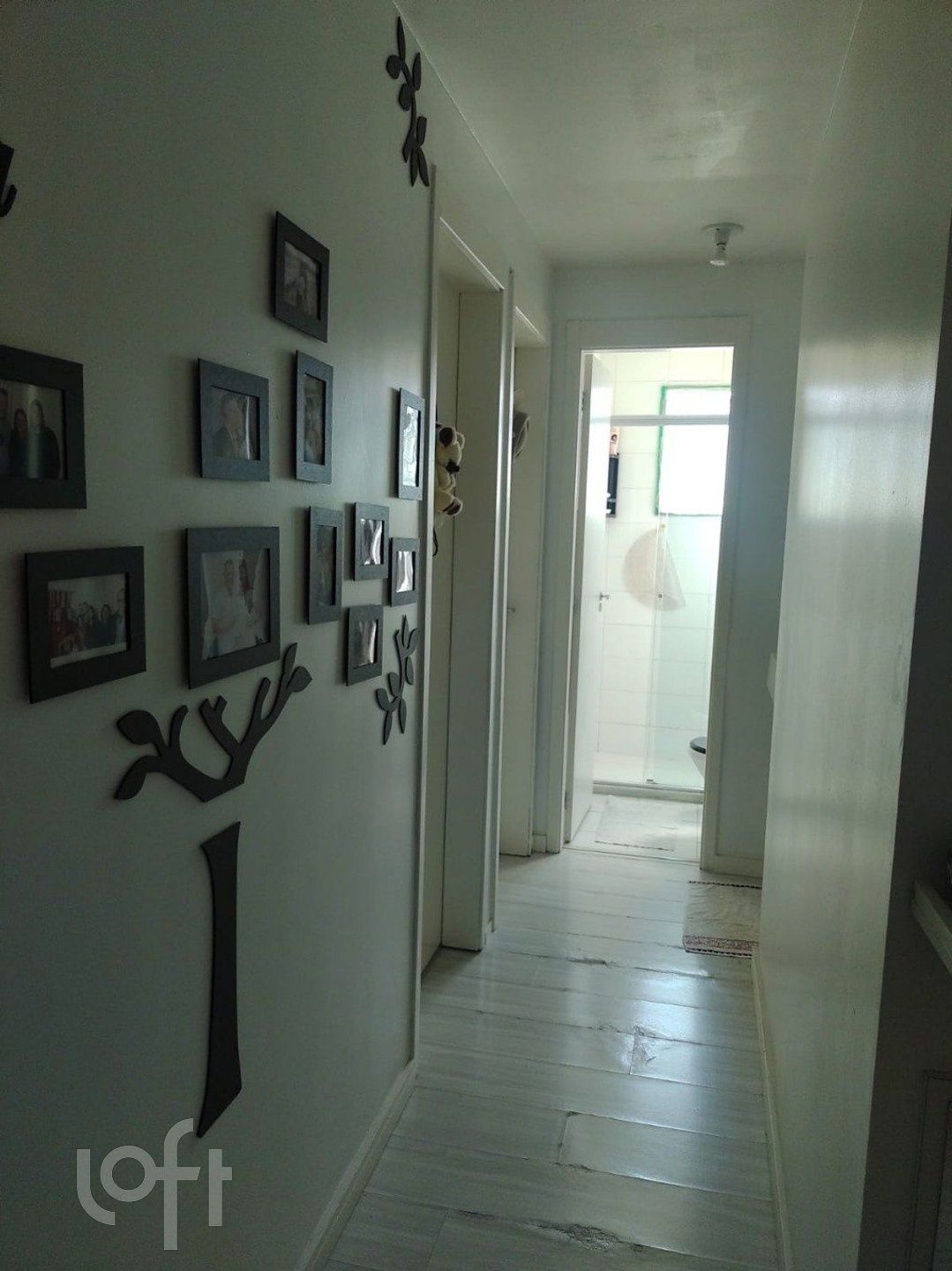 Imagem da propriedade 12