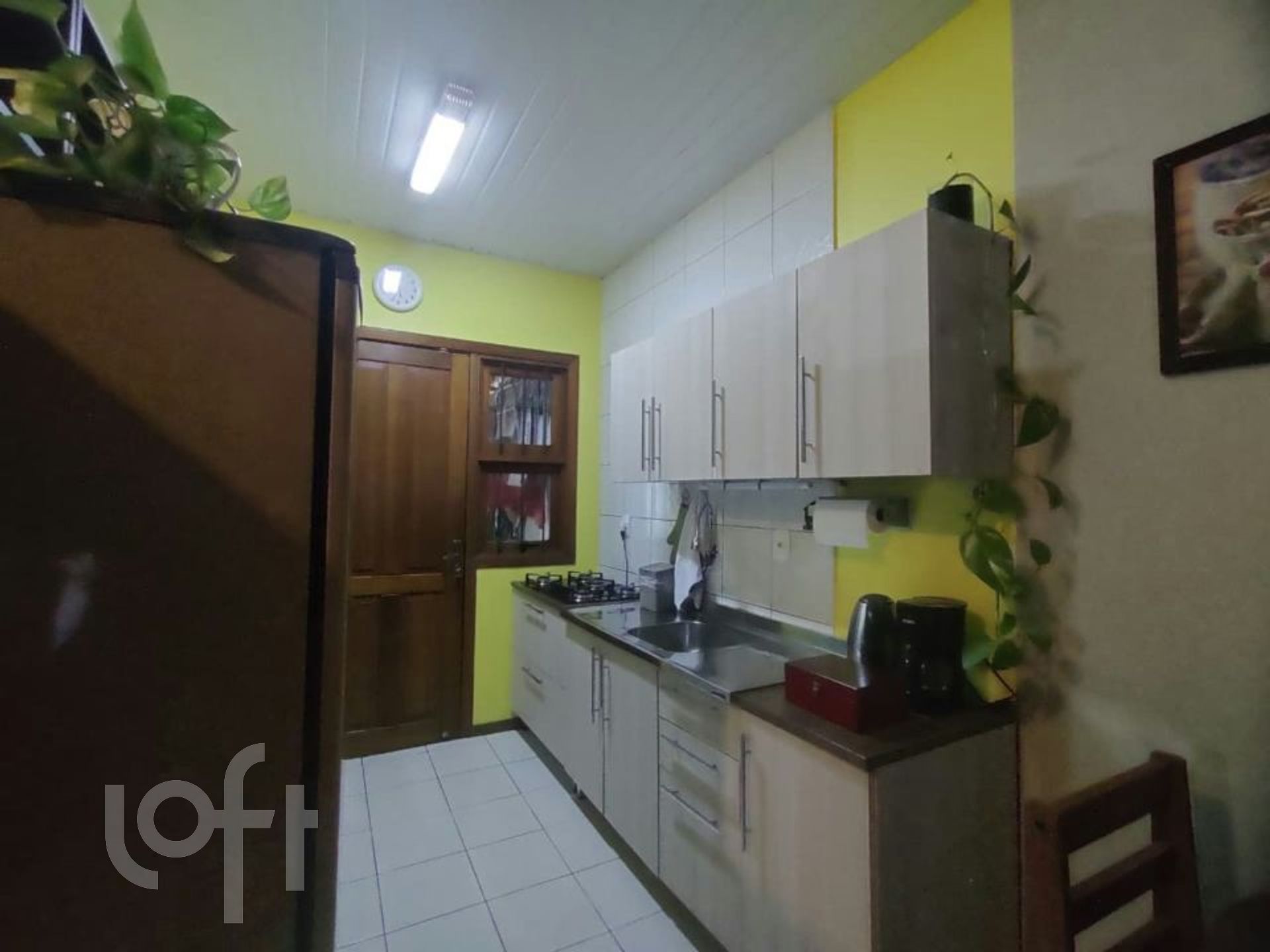 Imagem da propriedade 3