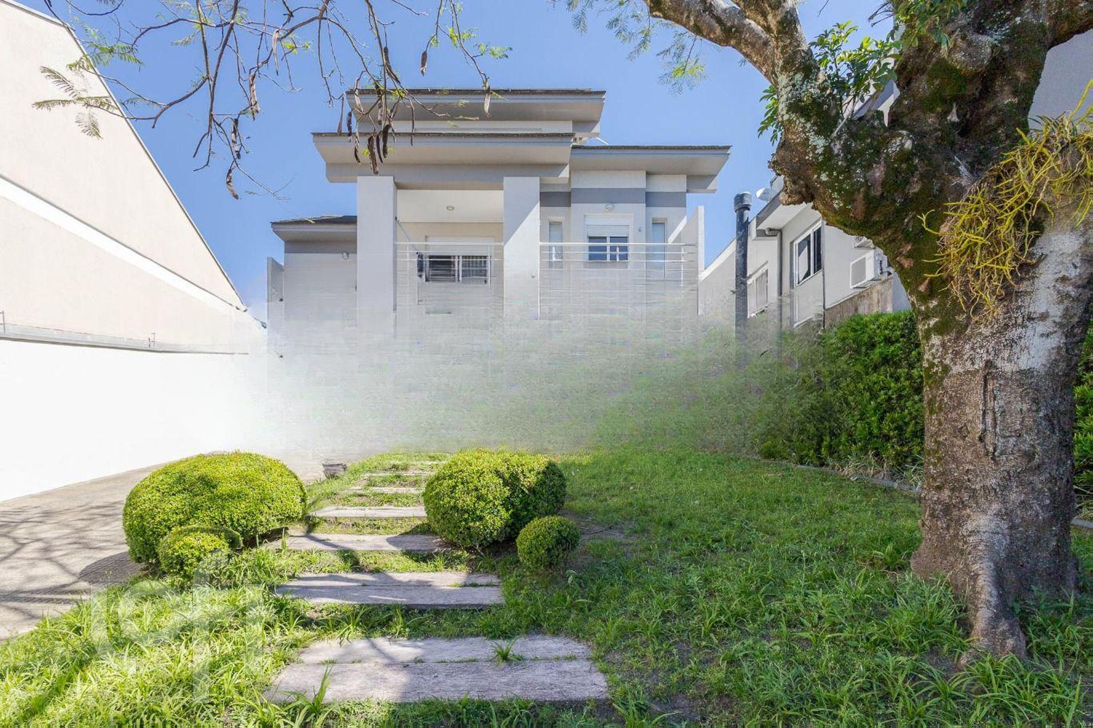 Imagem da propriedade 53