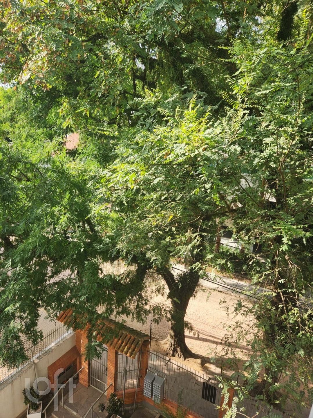 Imagem da propriedade 10