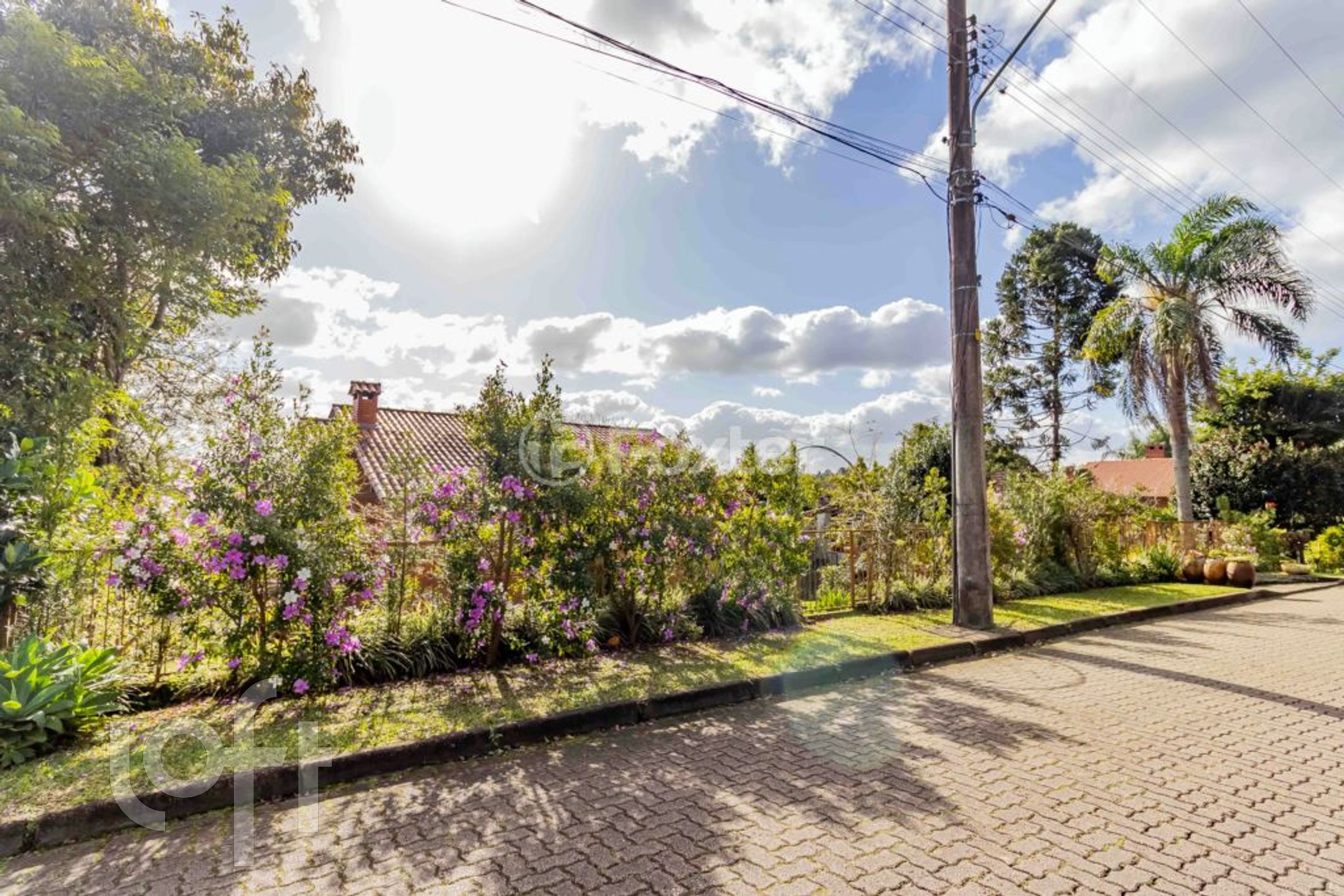 Imagem da propriedade 28