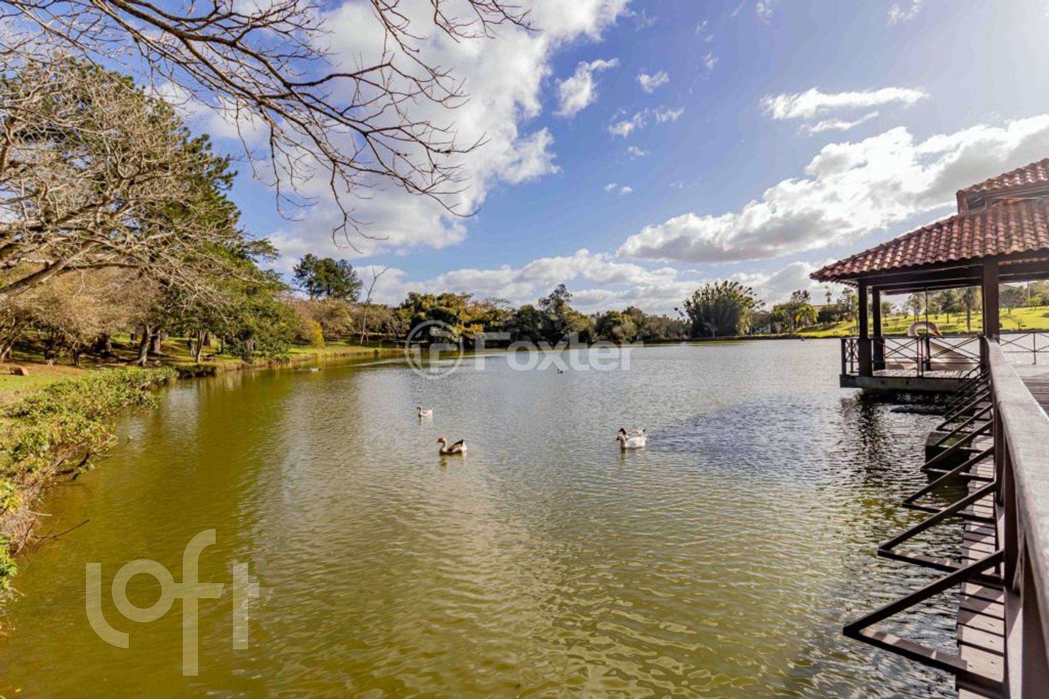 Imagem da propriedade 14