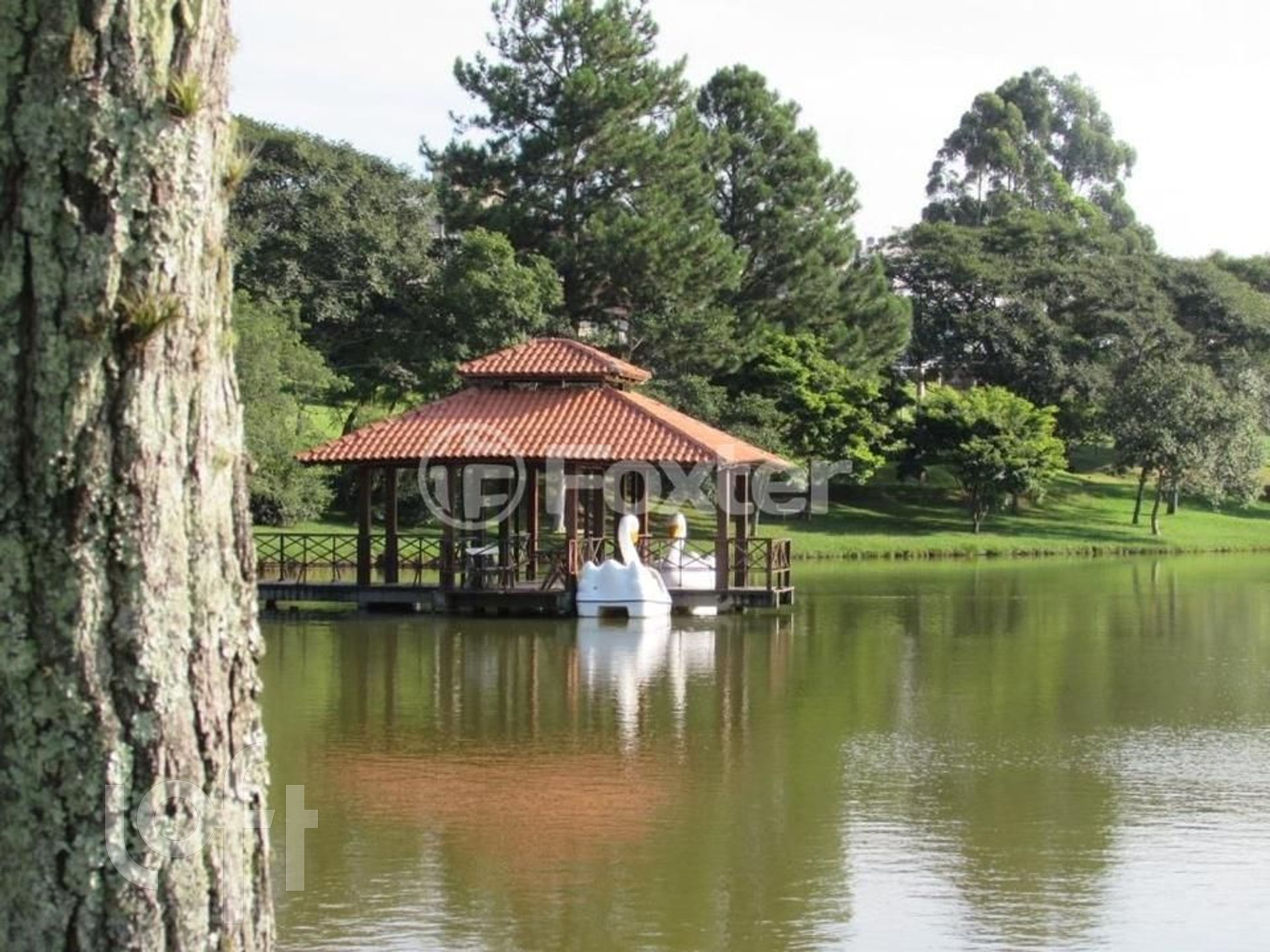 Imagem da propriedade 6