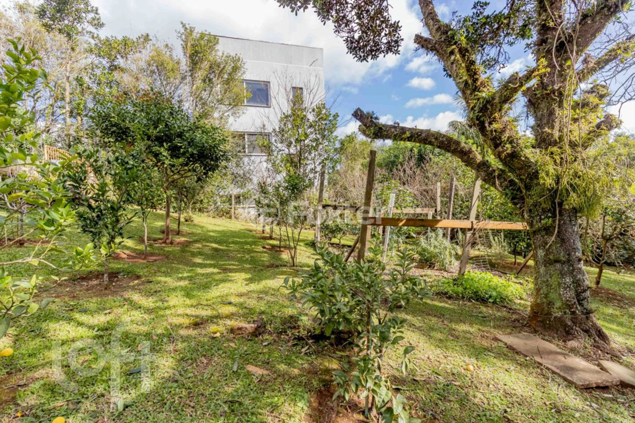 Imagem da propriedade 26