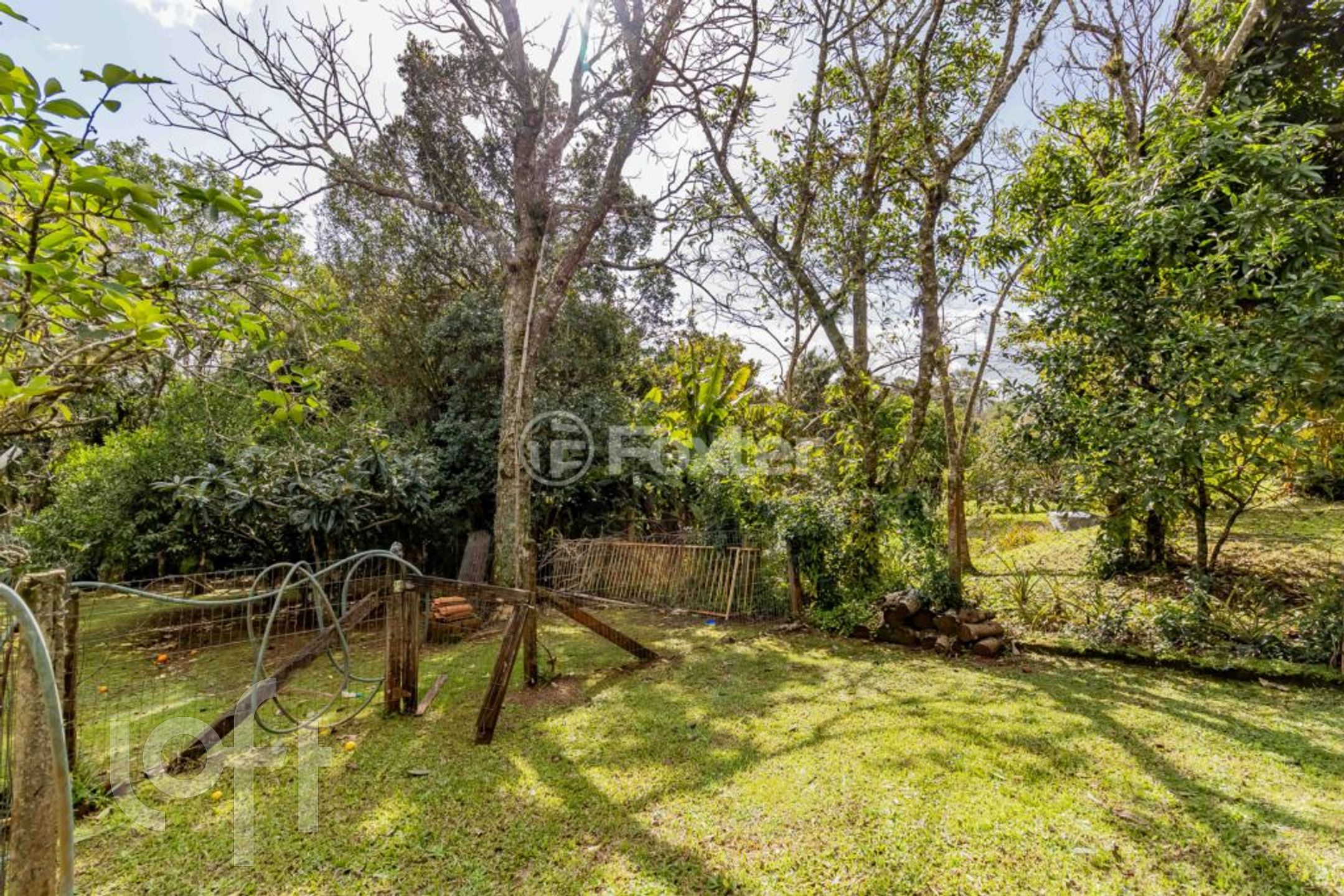 Imagem da propriedade 32