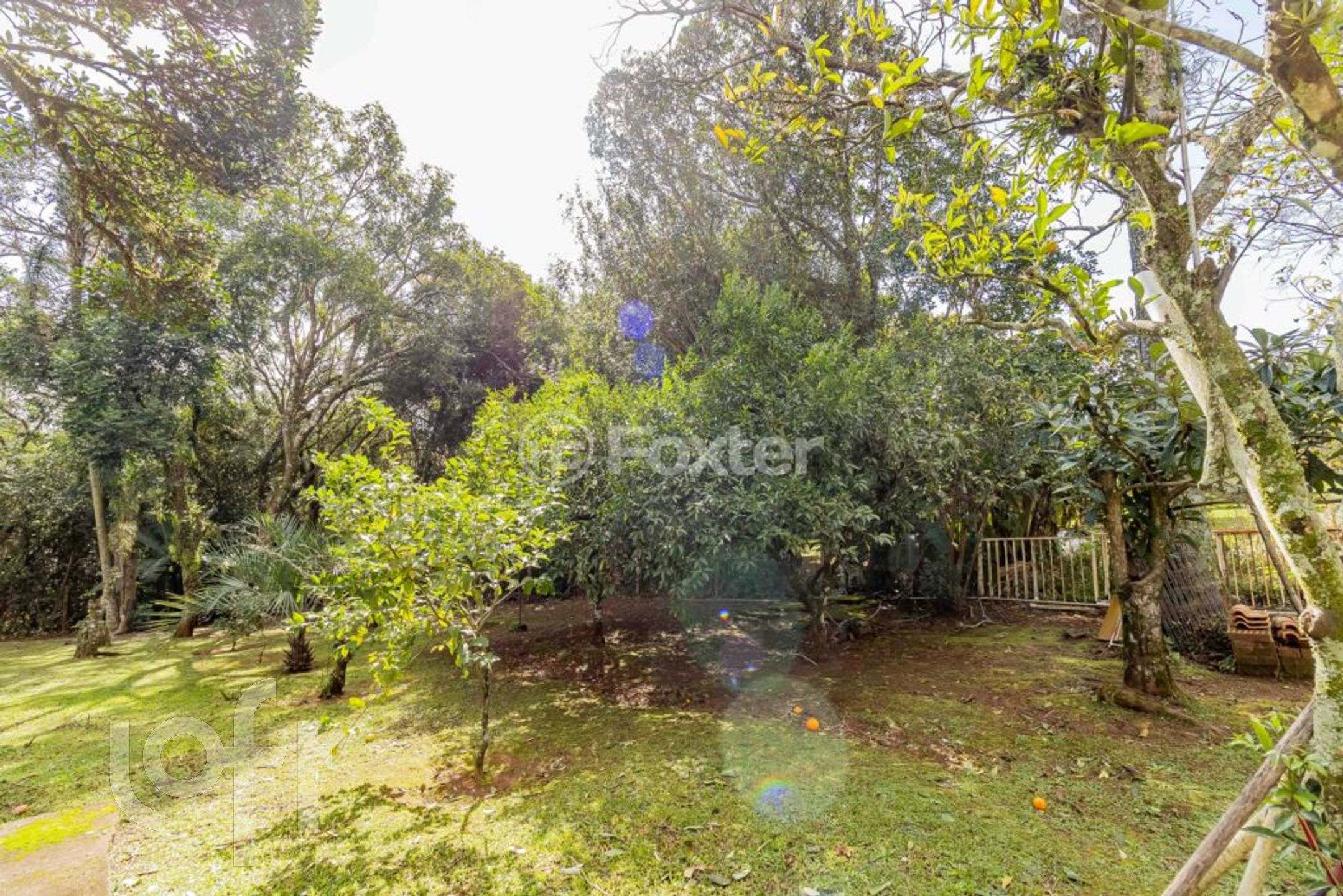 Imagem da propriedade 25