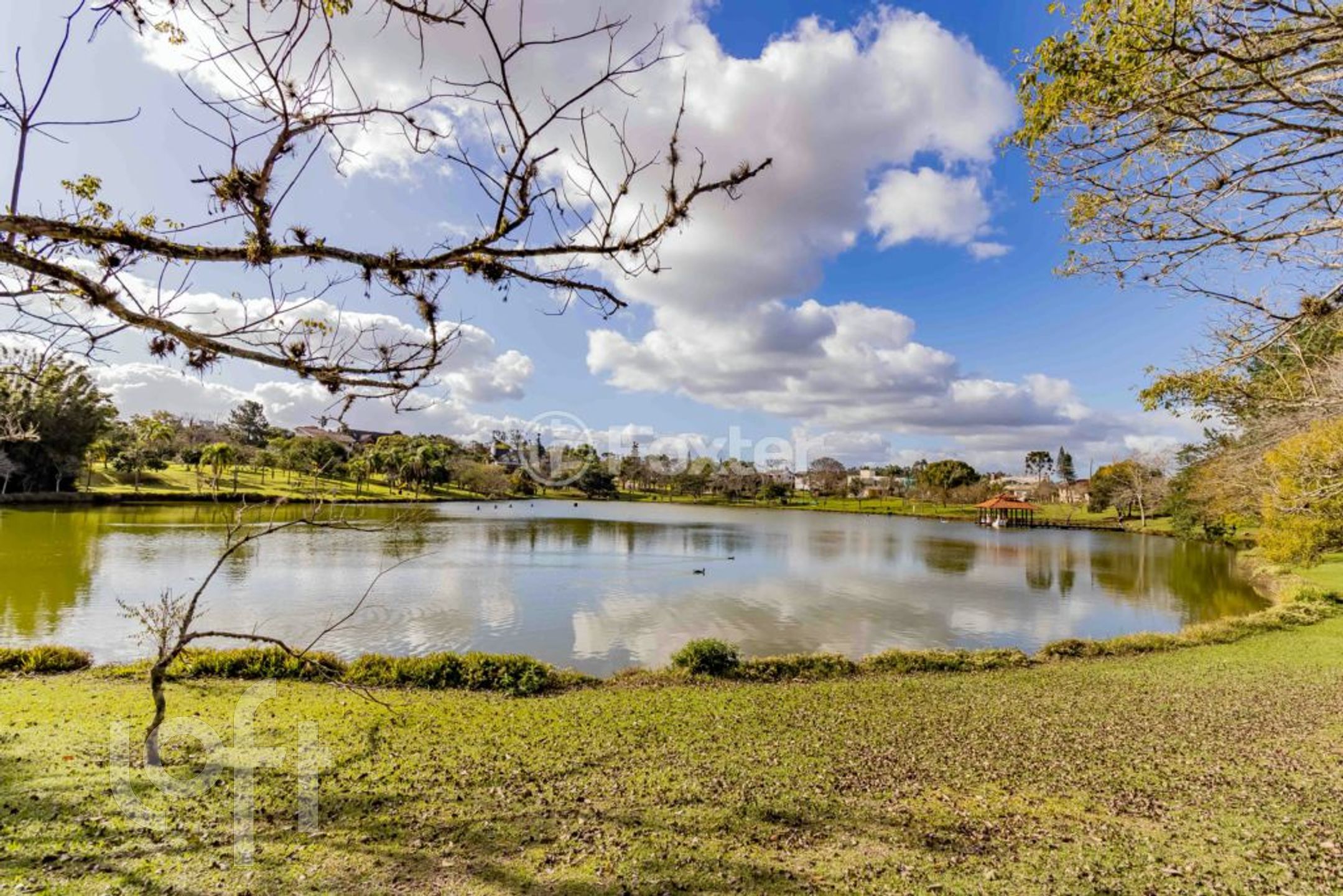 Imagem da propriedade 17