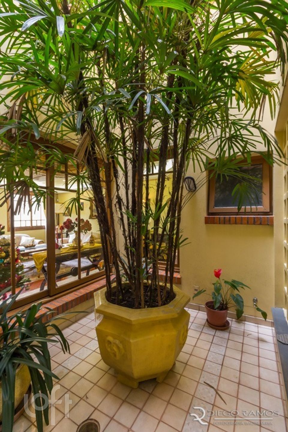 Imagem da propriedade 12