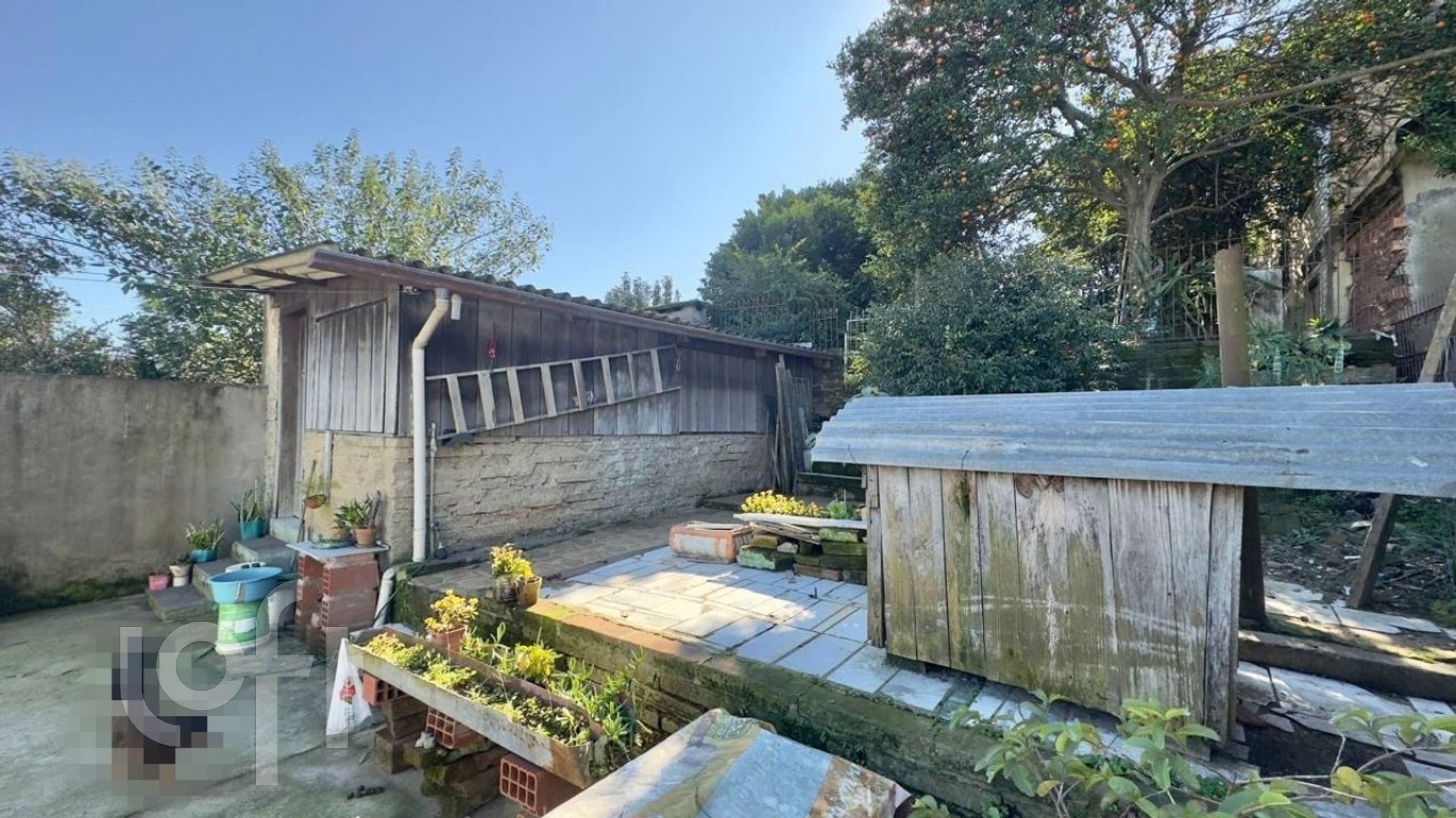 Imagem da propriedade 28