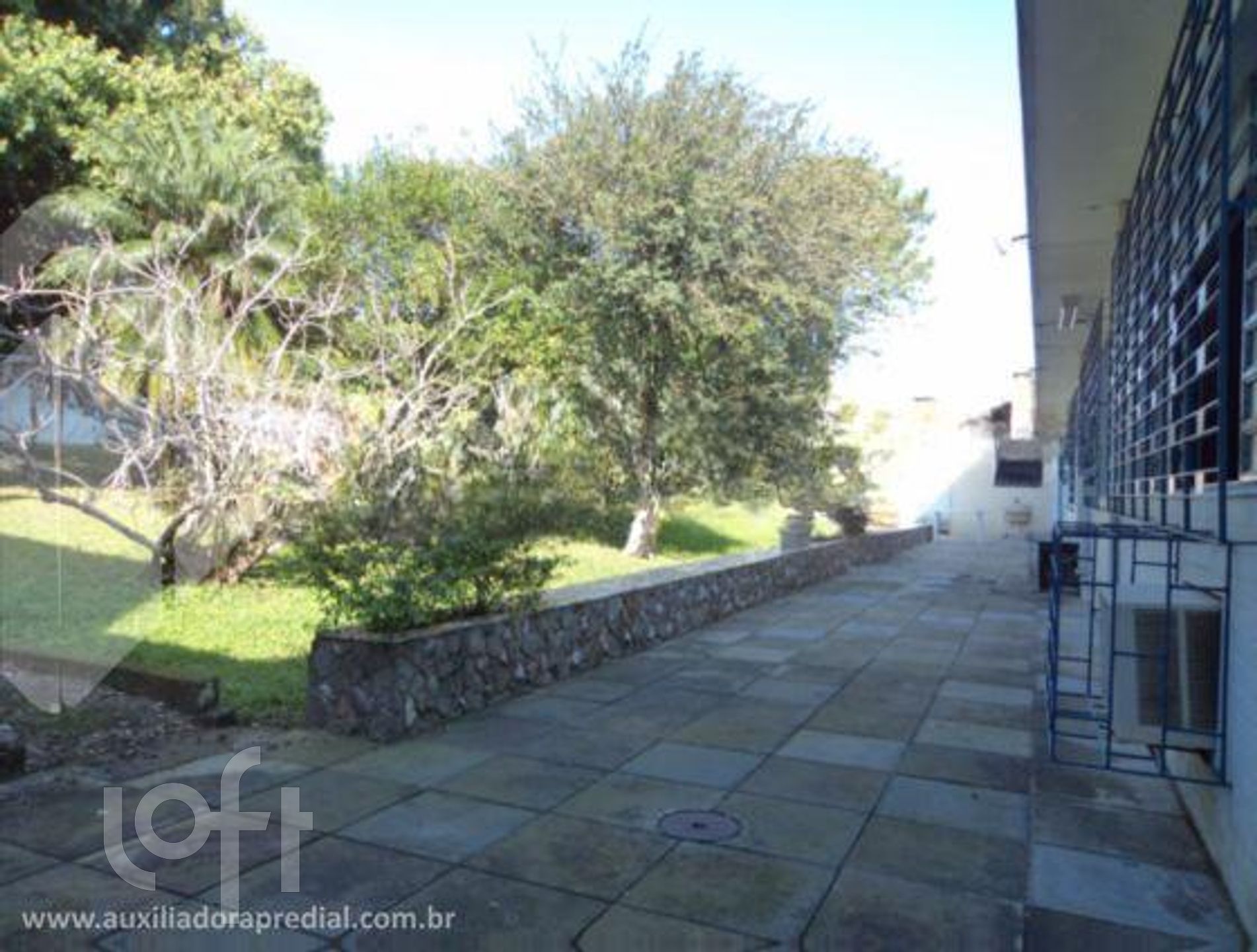 Imagem da propriedade 6