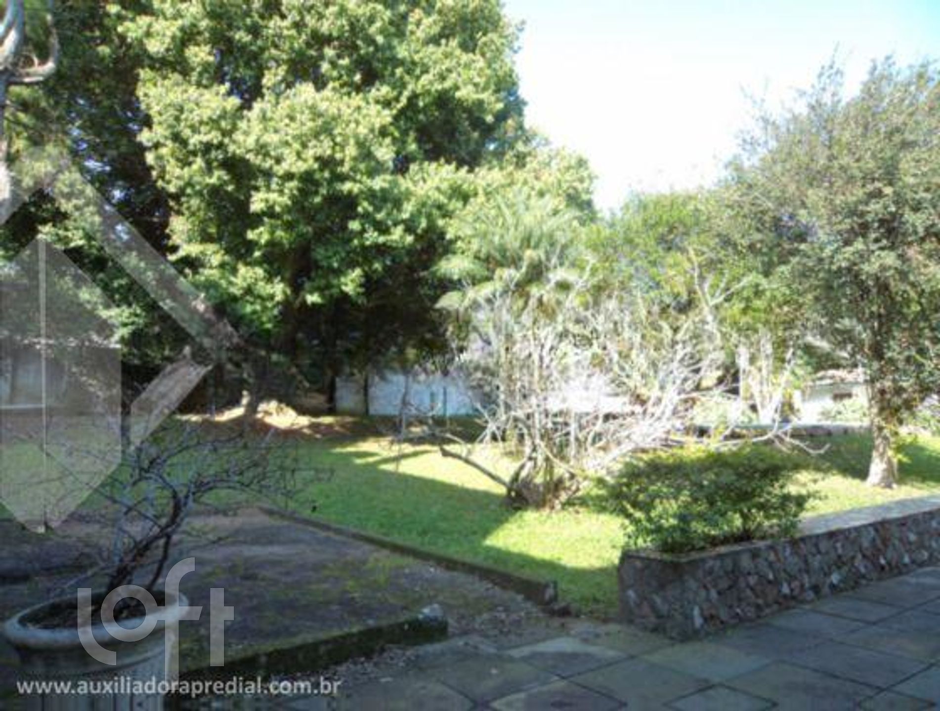 Imagem da propriedade 9