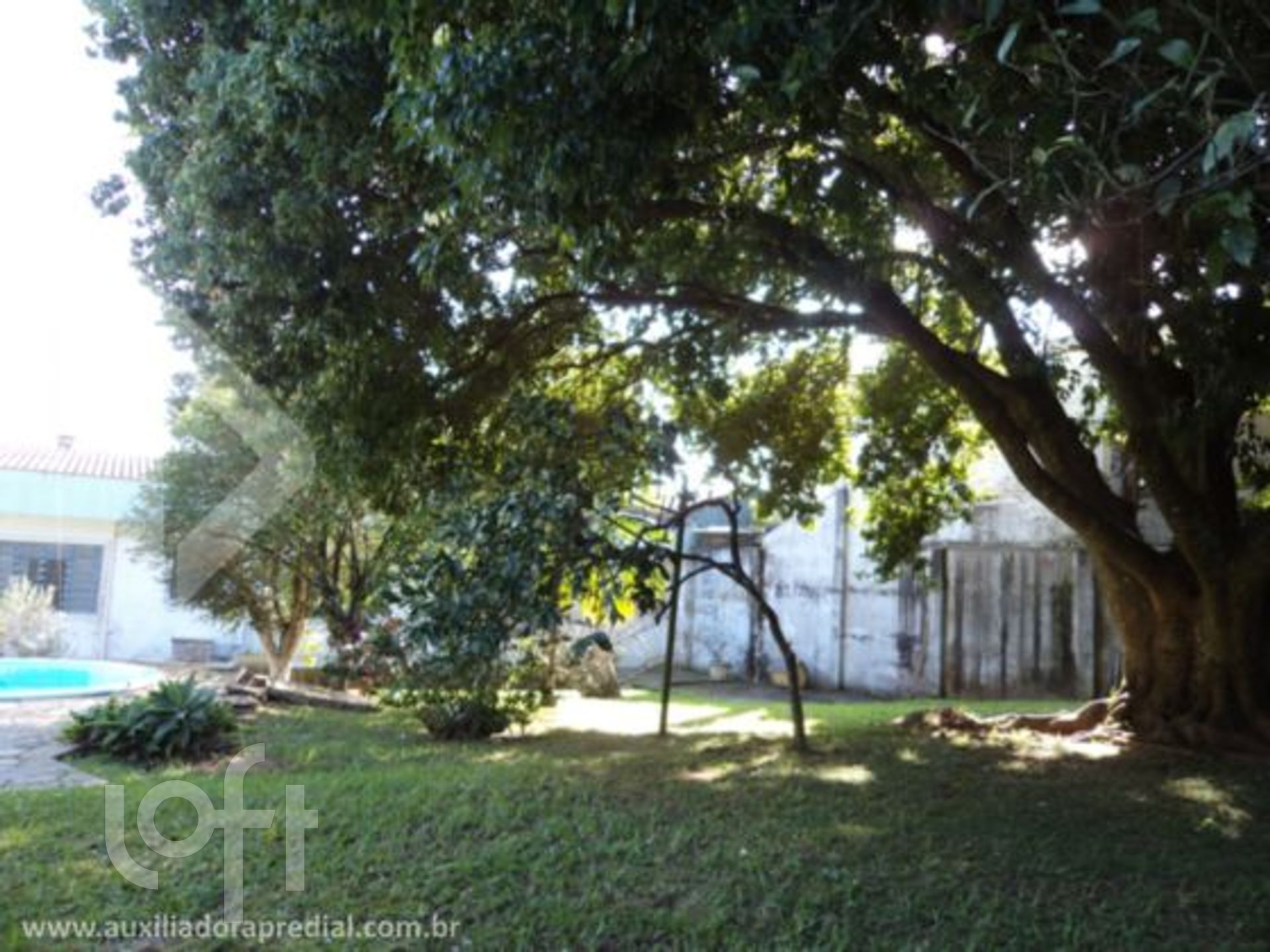 Imagem da propriedade 11