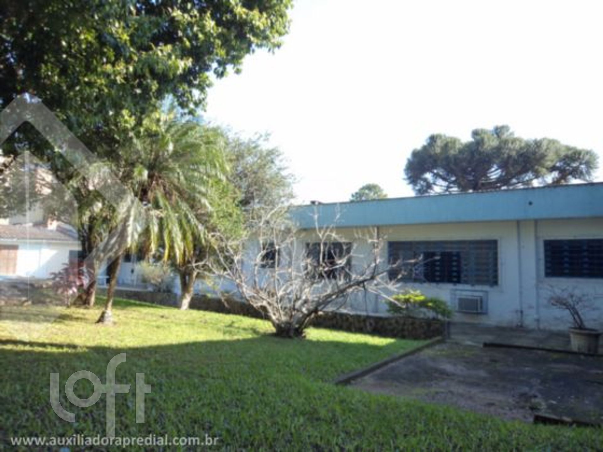 Imagem da propriedade 4