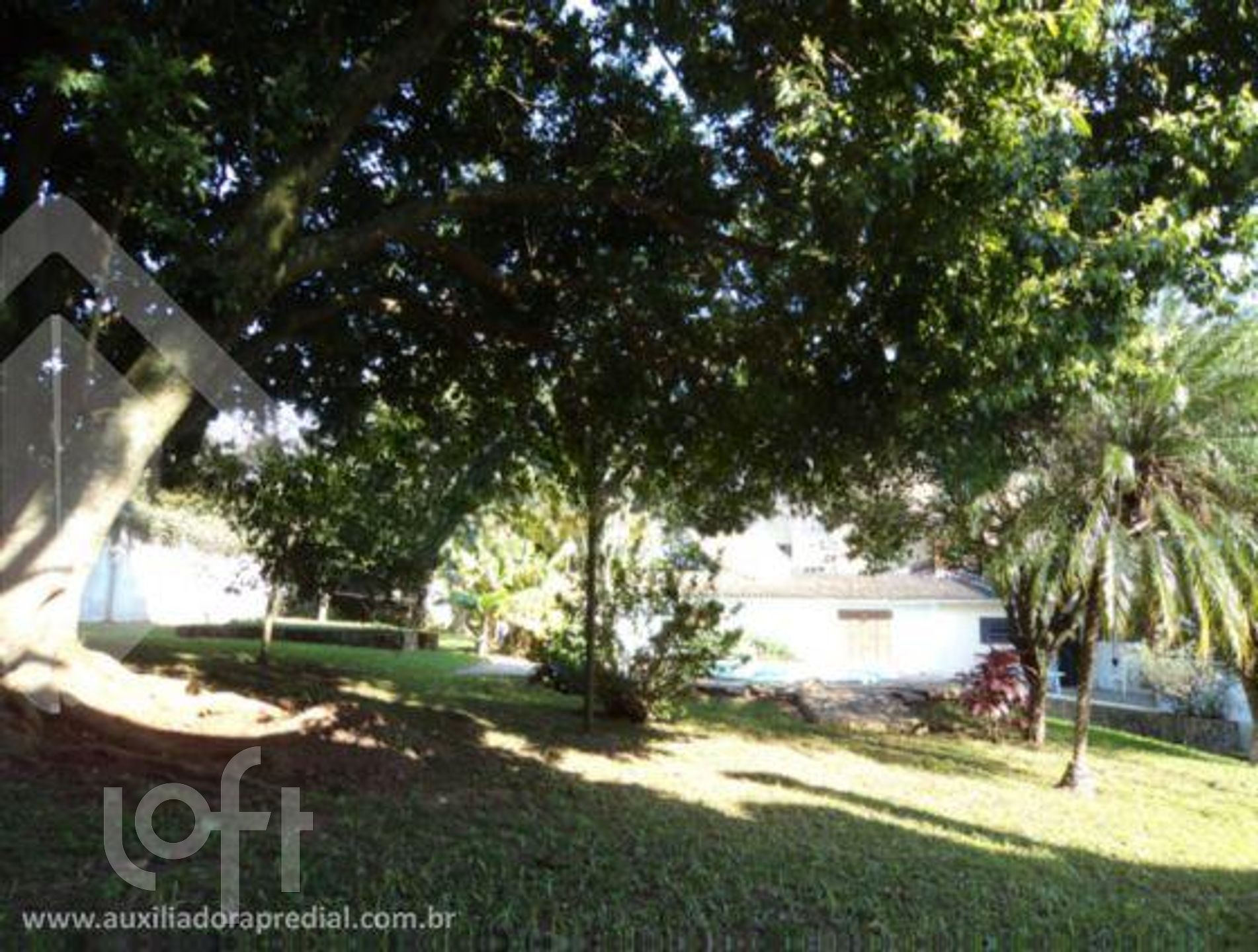 Imagem da propriedade 12