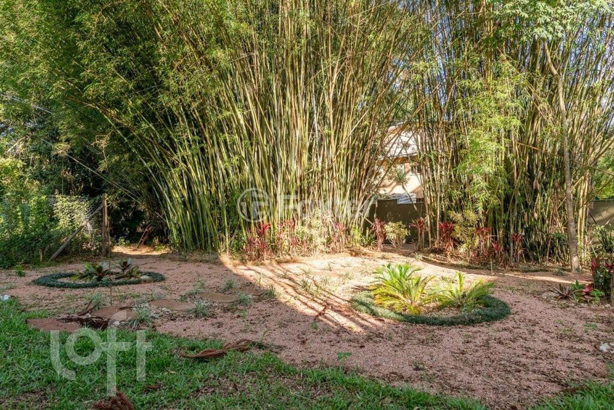 Imagem da propriedade 64