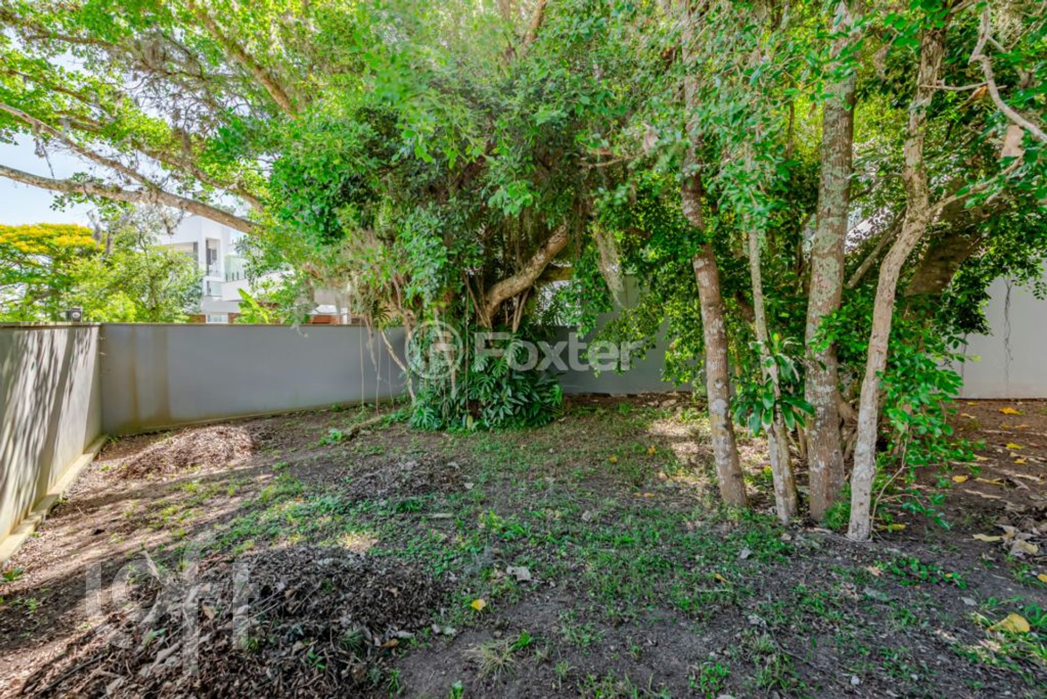 Imagem da propriedade 10